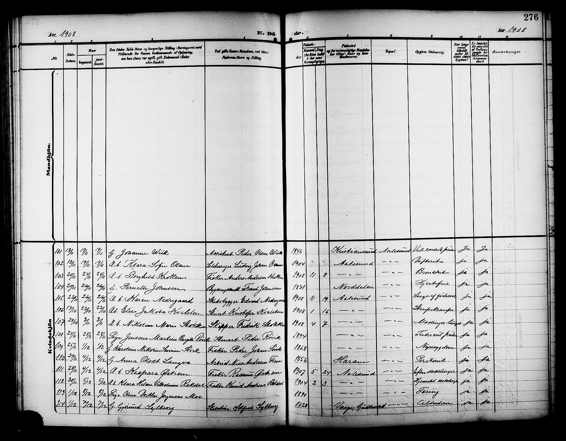 Ministerialprotokoller, klokkerbøker og fødselsregistre - Møre og Romsdal, SAT/A-1454/529/L0470: Parish register (copy) no. 529C07, 1907-1917, p. 276