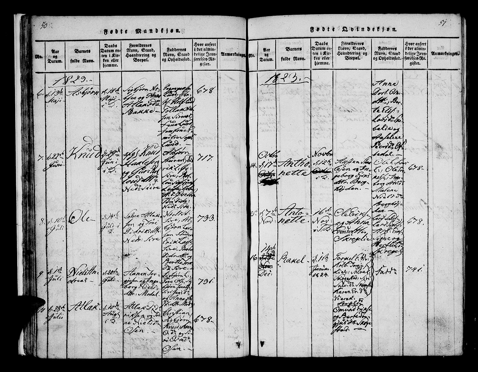 Bakke sokneprestkontor, SAK/1111-0002/F/Fa/Faa/L0003: Parish register (official) no. A 3, 1815-1835, p. 50-51