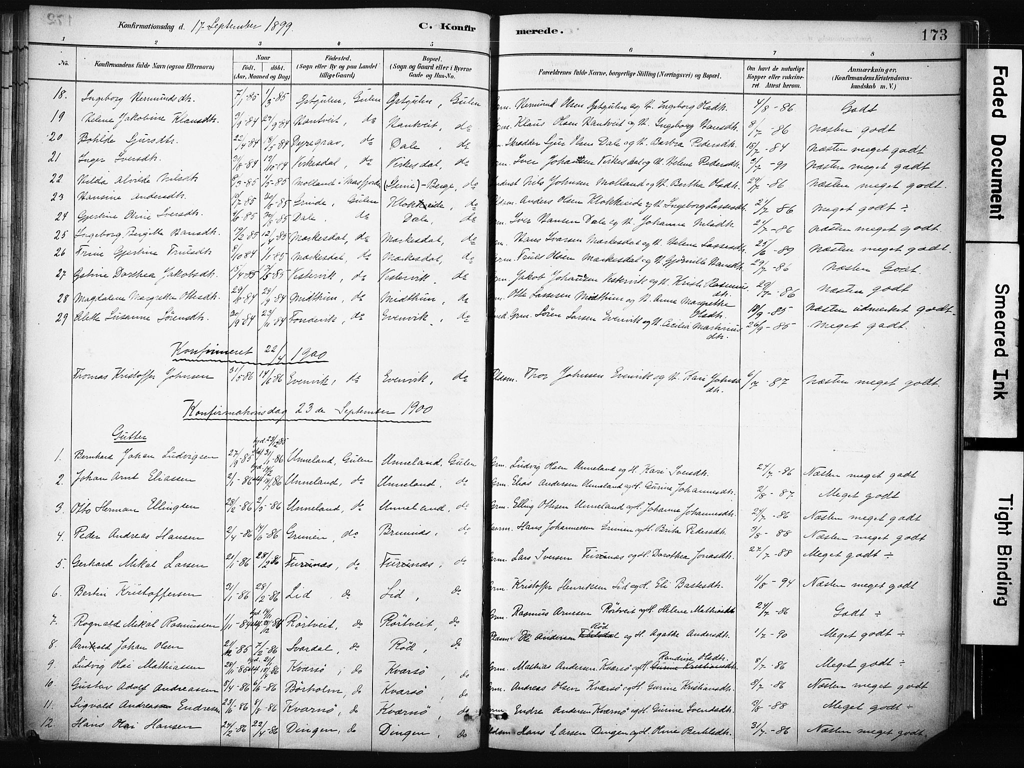 Gulen sokneprestembete, AV/SAB-A-80201/H/Haa/Haab/L0001: Parish register (official) no. B 1, 1881-1905, p. 173