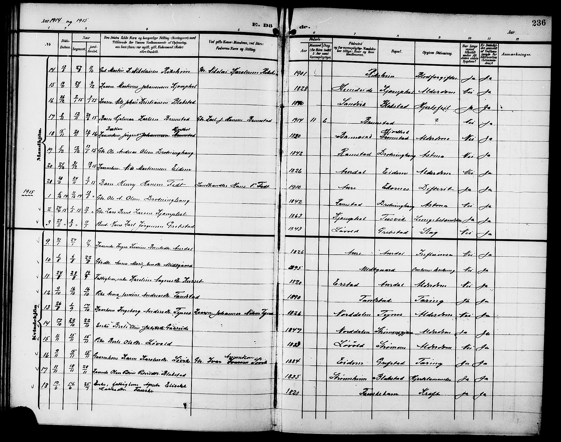 Ministerialprotokoller, klokkerbøker og fødselsregistre - Møre og Romsdal, SAT/A-1454/523/L0341: Parish register (copy) no. 523C04, 1903-1916, p. 236
