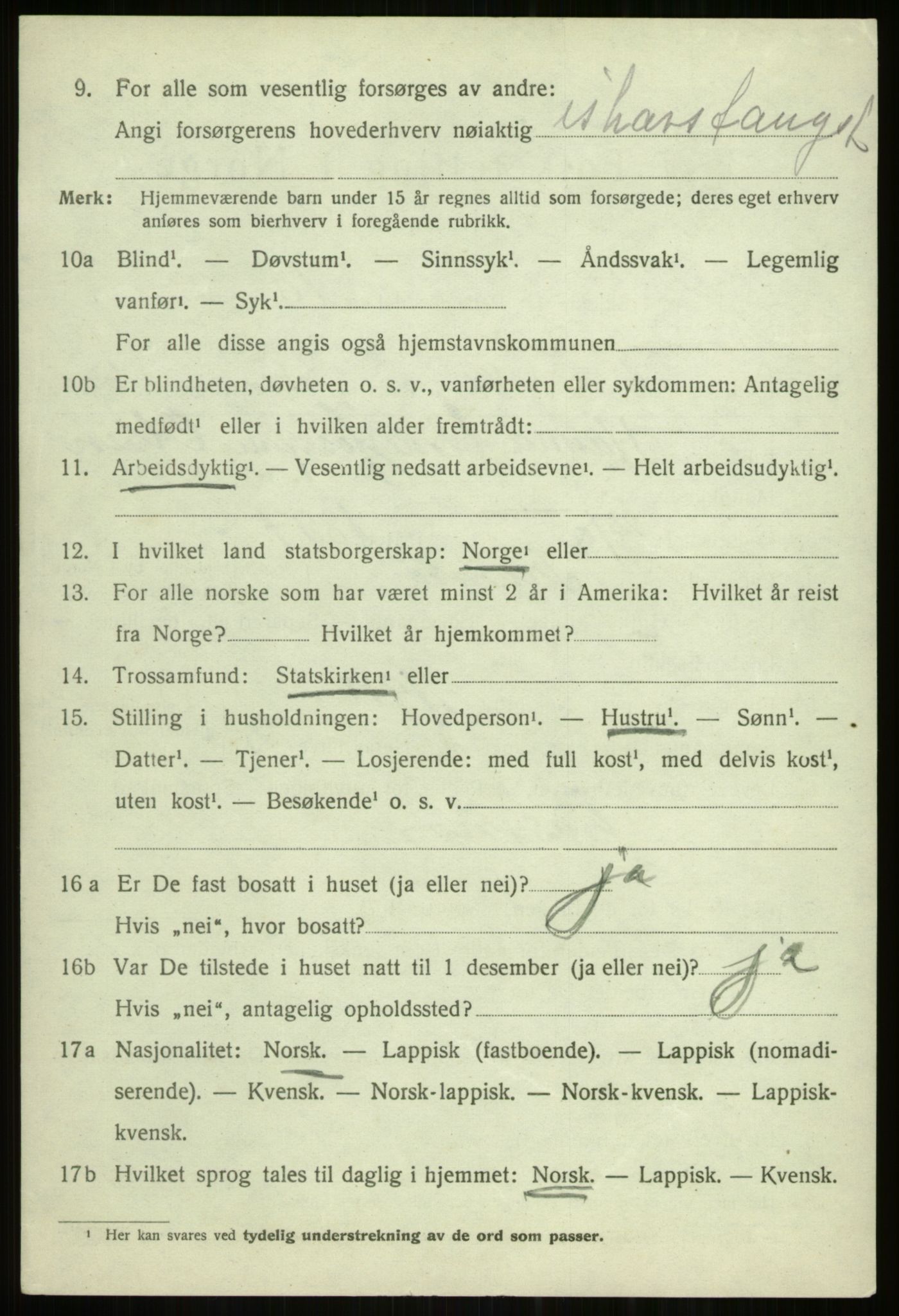 SATØ, 1920 census for Tromsøysund, 1920, p. 3823