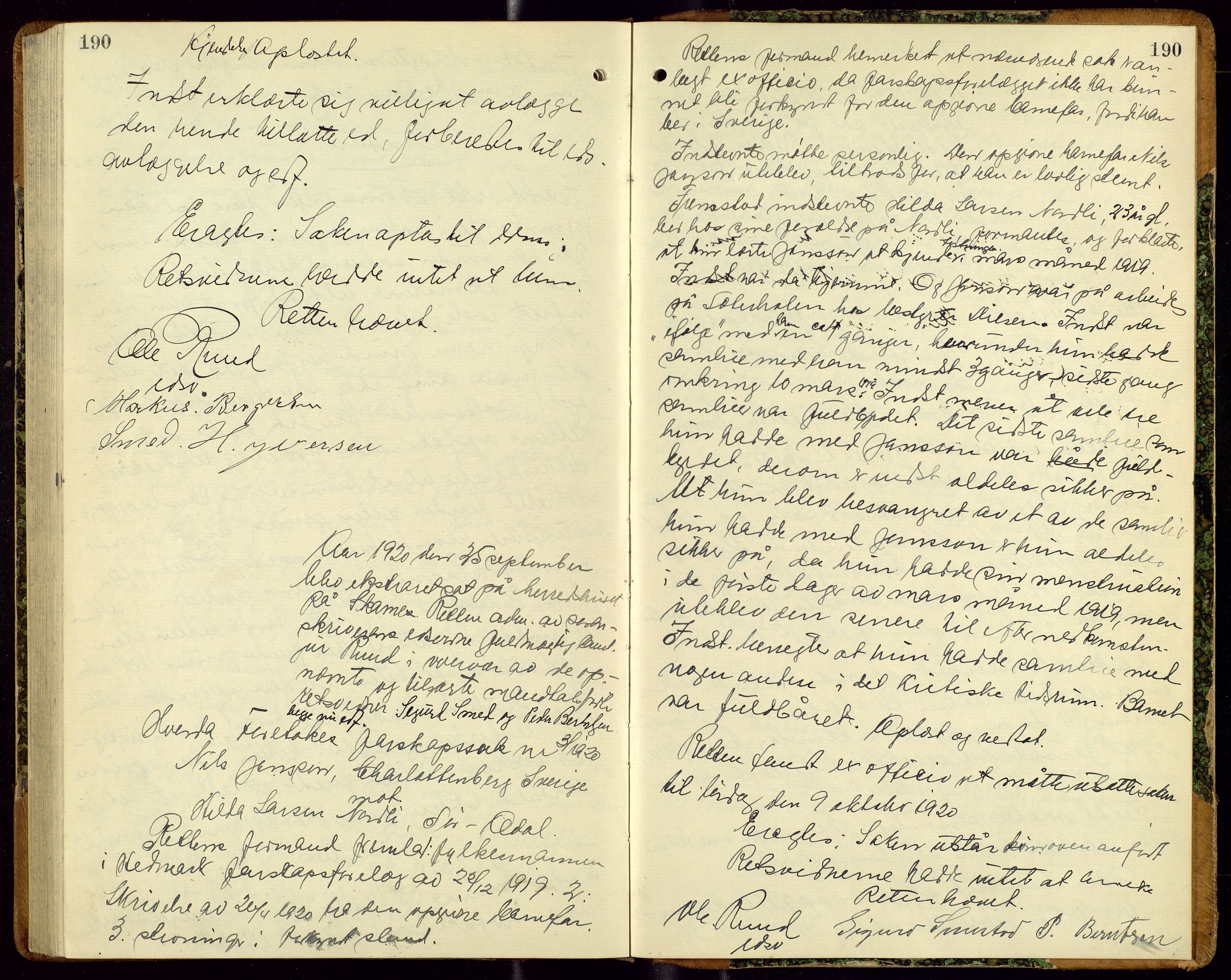 Vinger og Odal sorenskriveri, AV/SAH-TING-022/G/Gc/Gcc/L0008: Åstedsprotokoll - Vinger og Odal, 1913-1920, p. 190