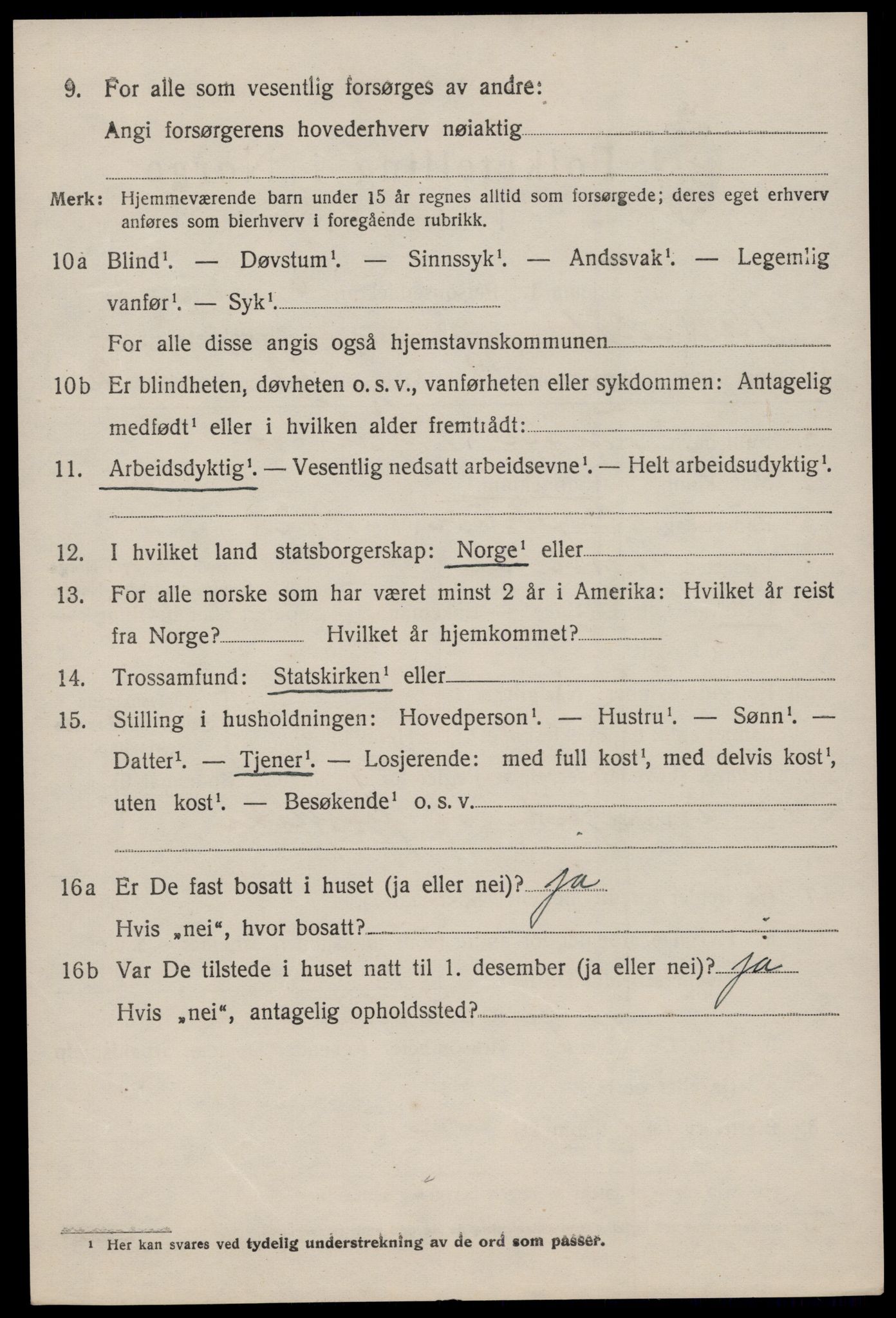 SAKO, 1920 census for Nissedal, 1920, p. 2008