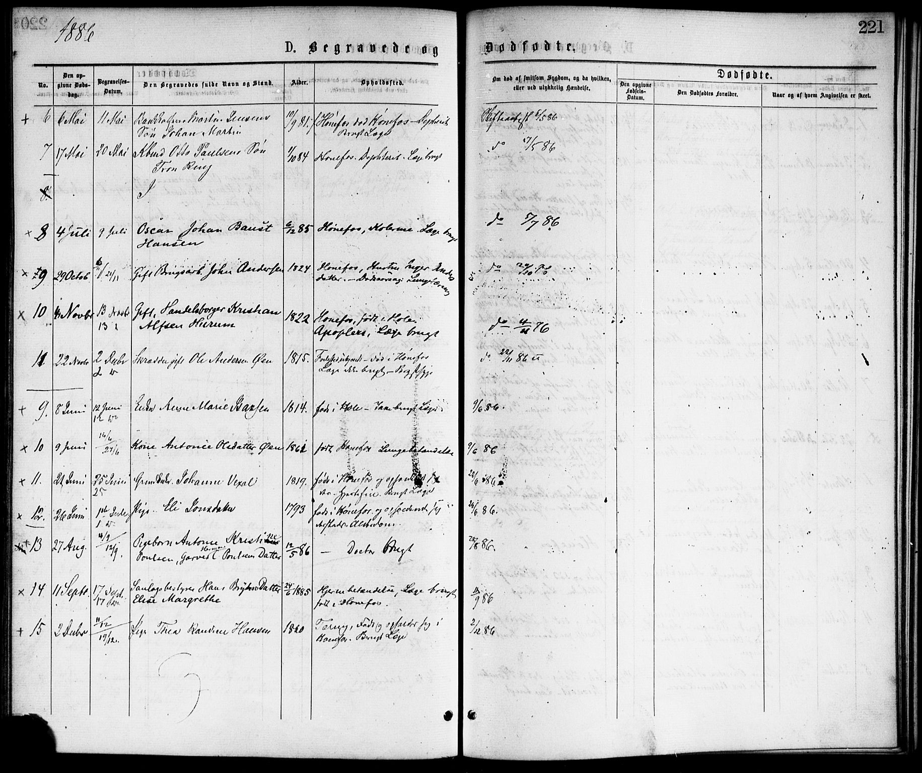 Hønefoss kirkebøker, AV/SAKO-A-609/F/Fa/L0001: Parish register (official) no. 1, 1875-1887, p. 221