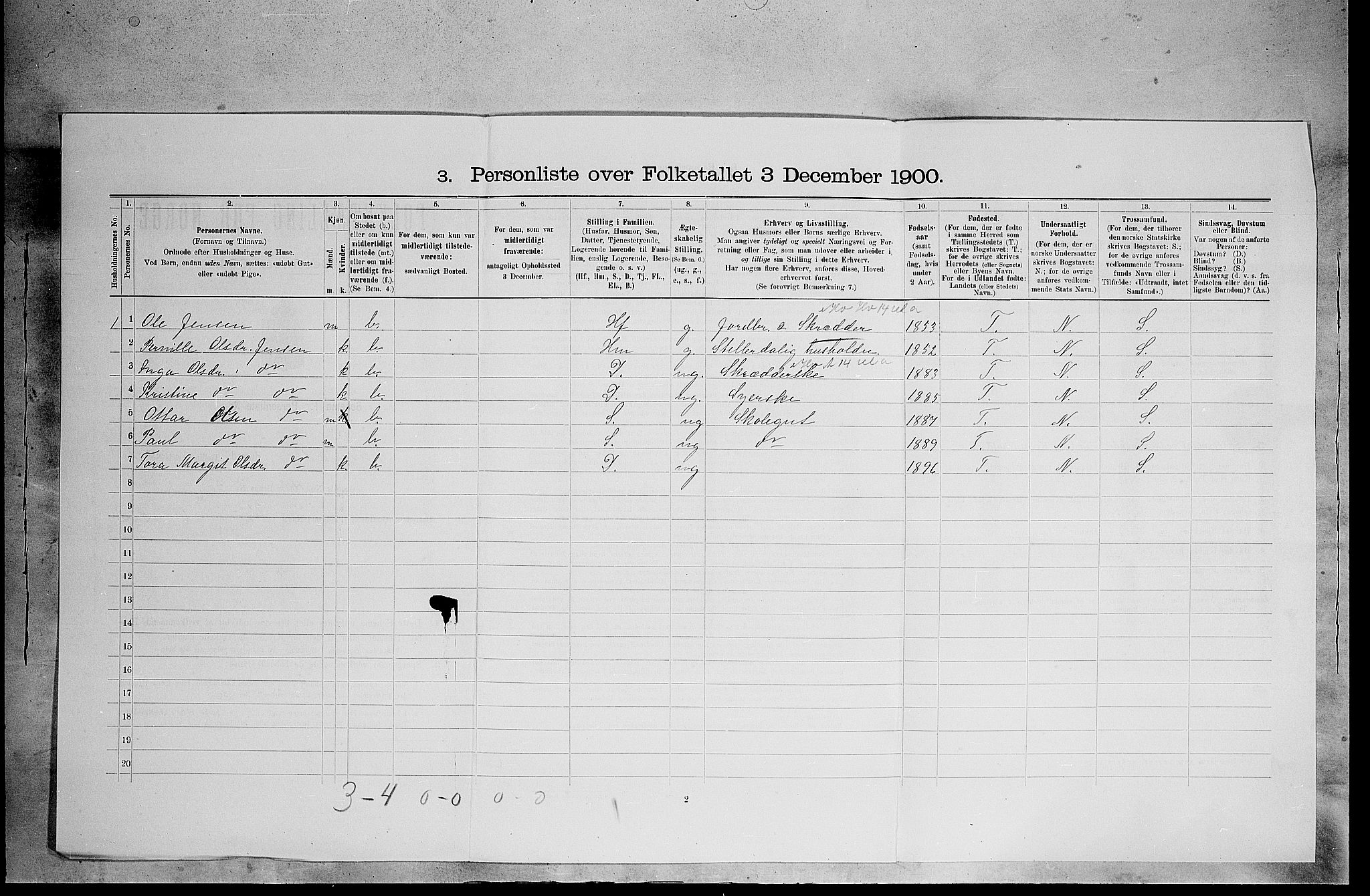 SAH, 1900 census for Åsnes, 1900, p. 302