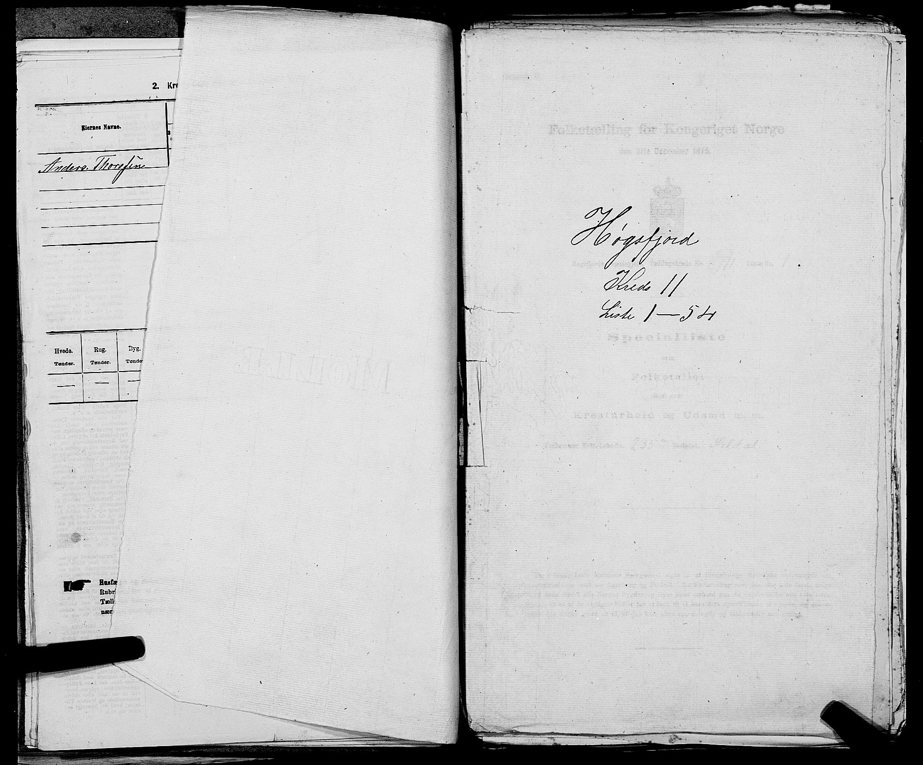 SAST, 1875 census for 1128P Høgsfjord, 1875, p. 889