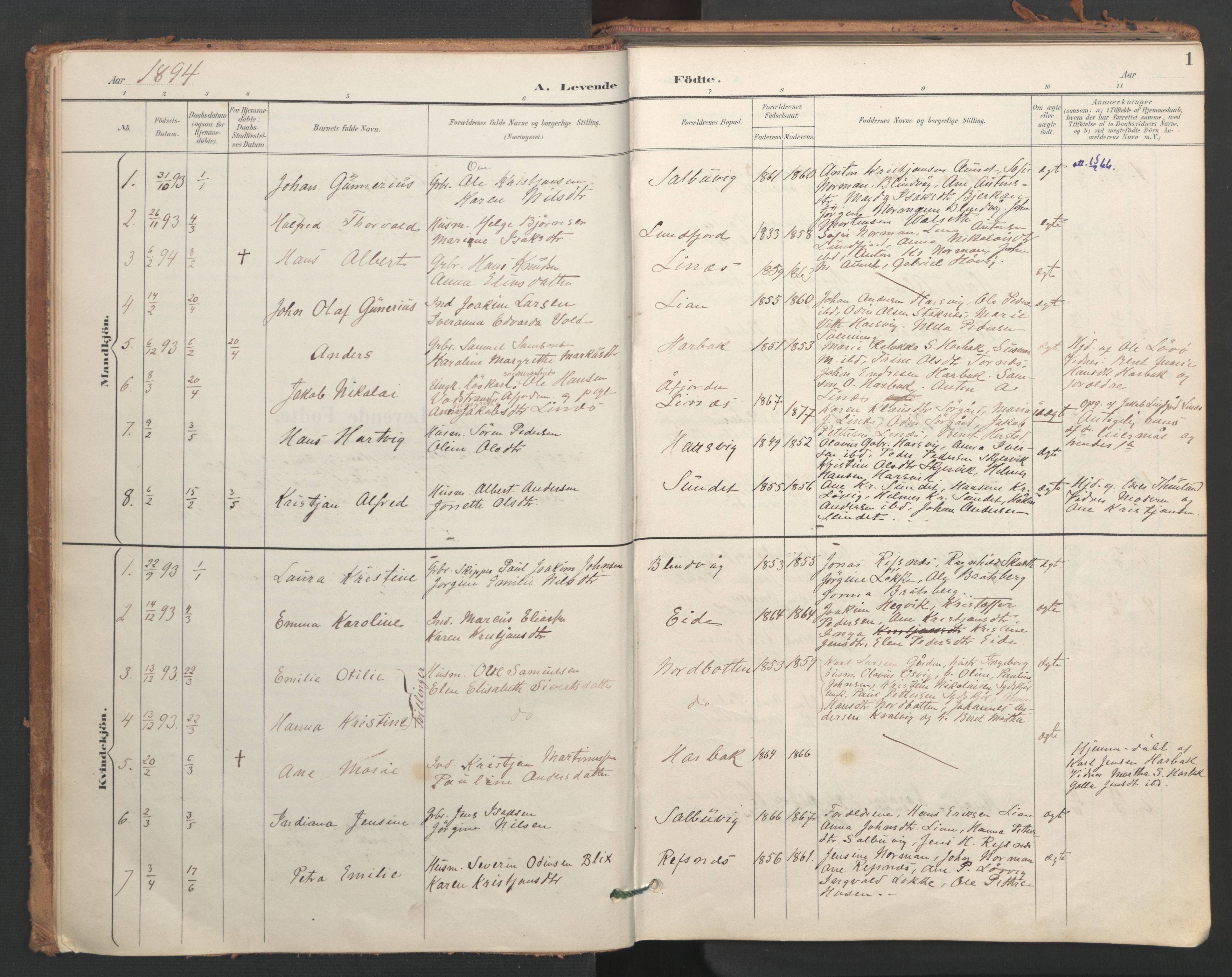 Ministerialprotokoller, klokkerbøker og fødselsregistre - Sør-Trøndelag, SAT/A-1456/656/L0693: Parish register (official) no. 656A02, 1894-1913, p. 1