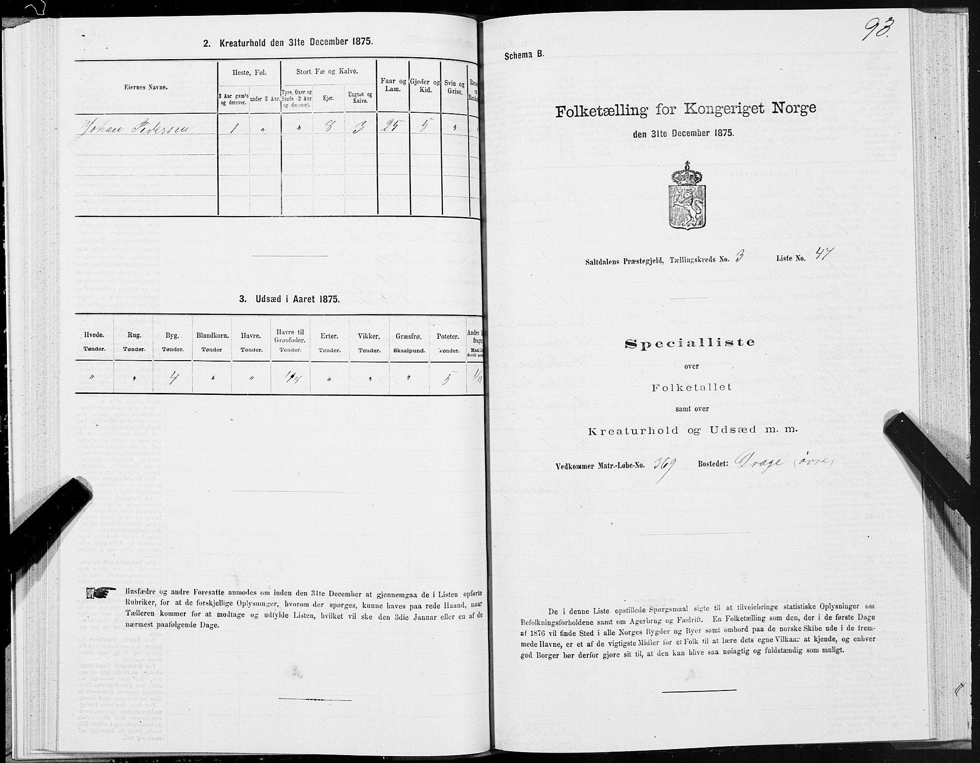SAT, 1875 census for 1840P Saltdal, 1875, p. 2093