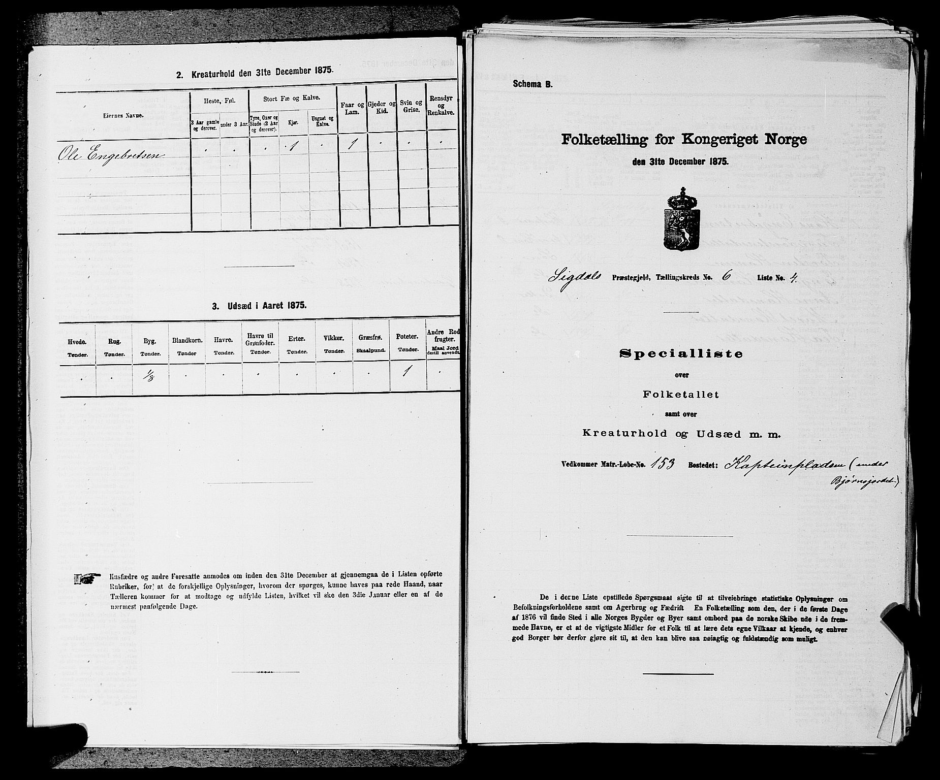 SAKO, 1875 census for 0621P Sigdal, 1875, p. 857