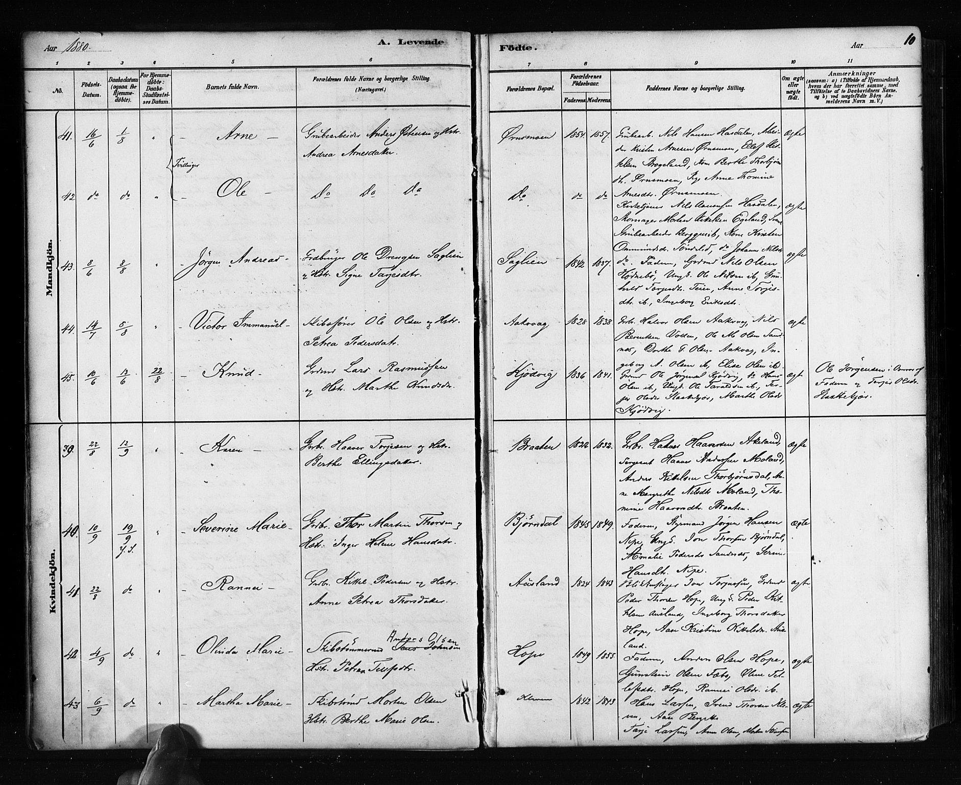 Søndeled sokneprestkontor, SAK/1111-0038/F/Fa/L0004: Parish register (official) no. A 4, 1880-1889, p. 10