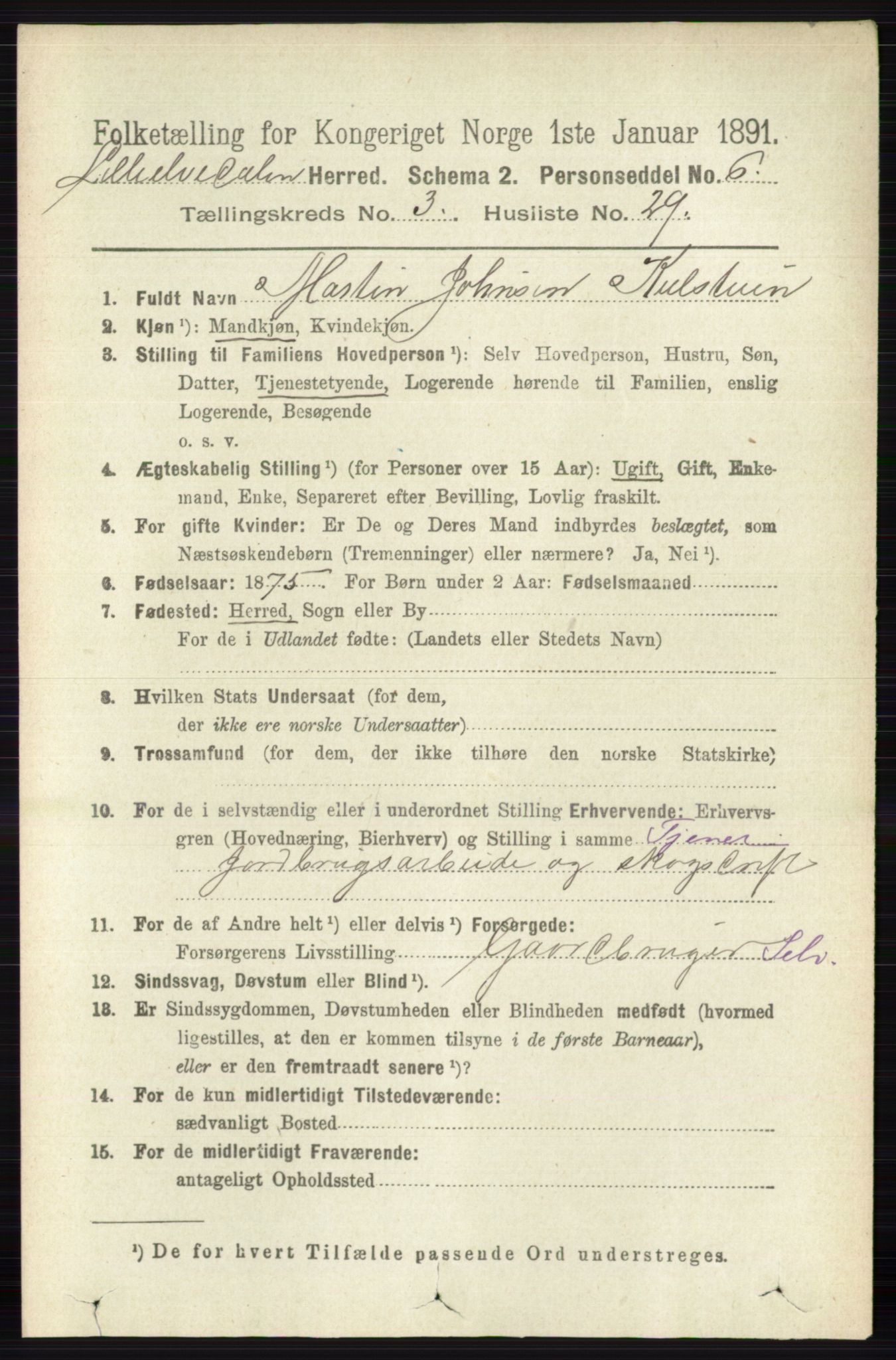 RA, 1891 census for 0438 Lille Elvedalen, 1891, p. 1277