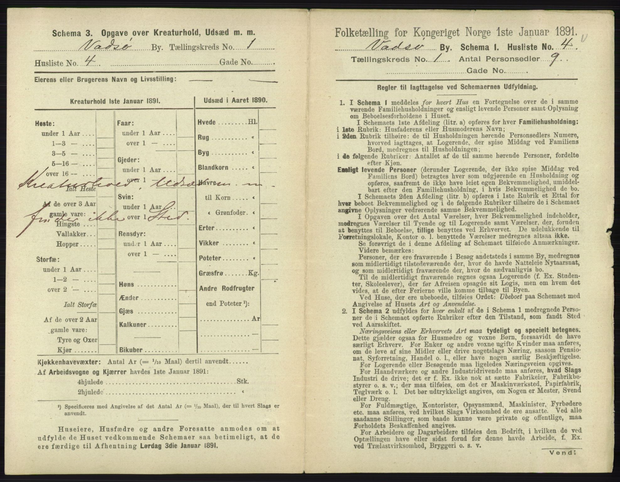 RA, 1891 census for 2003 Vadsø, 1891, p. 30