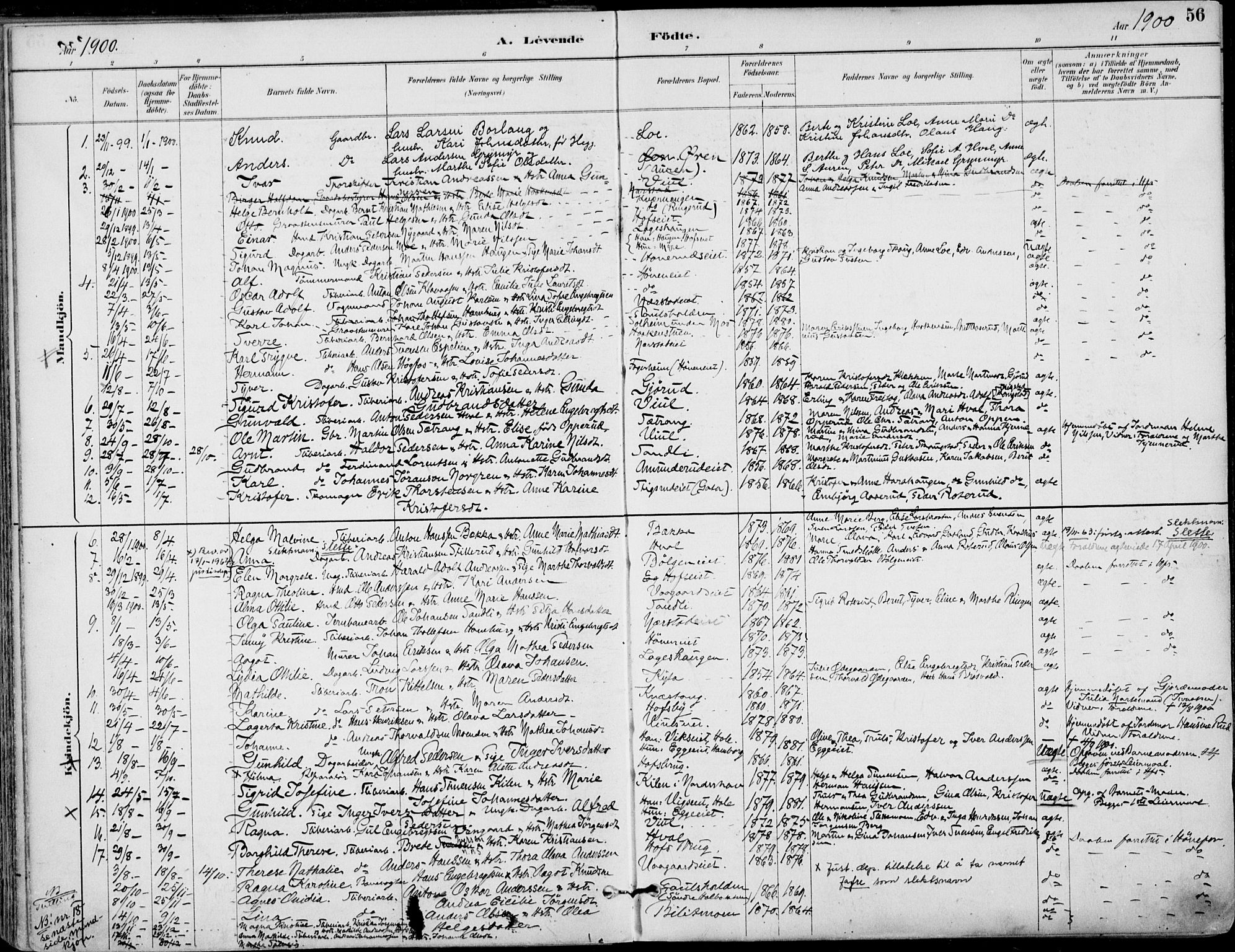 Haug kirkebøker, AV/SAKO-A-604/F/Fa/L0001: Parish register (official) no. 1, 1885-1917, p. 56