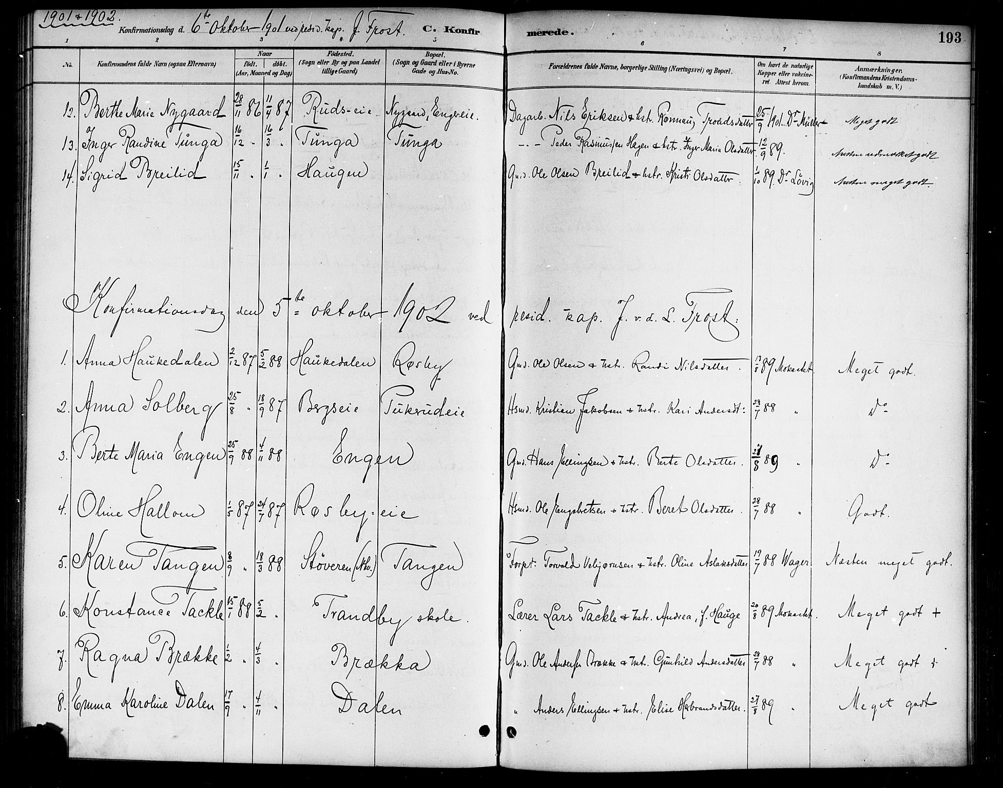 Lunder kirkebøker, AV/SAKO-A-629/G/Ga/L0004: Parish register (copy) no. I 4, 1889-1917, p. 193