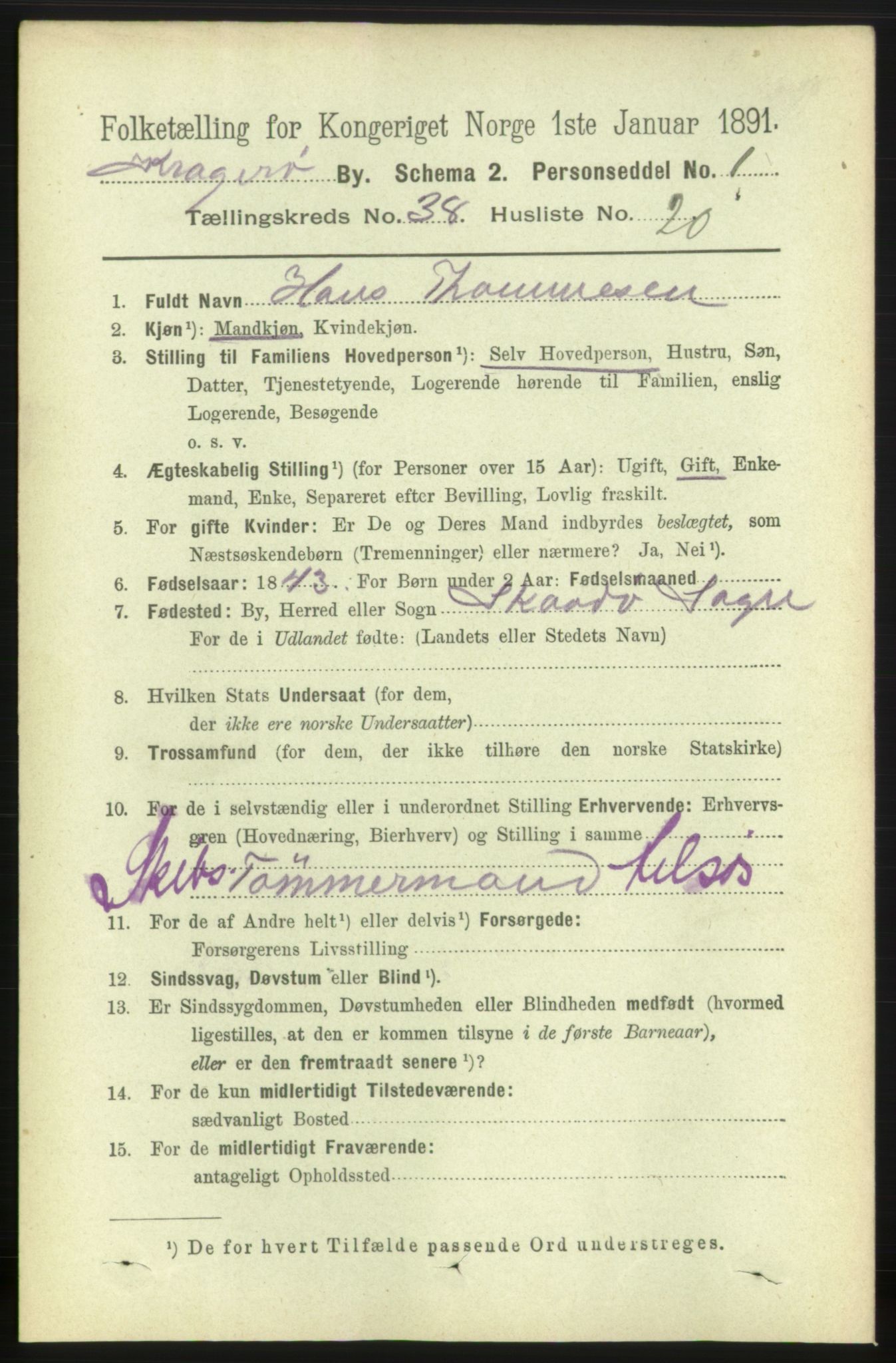 RA, 1891 census for 0801 Kragerø, 1891, p. 7267