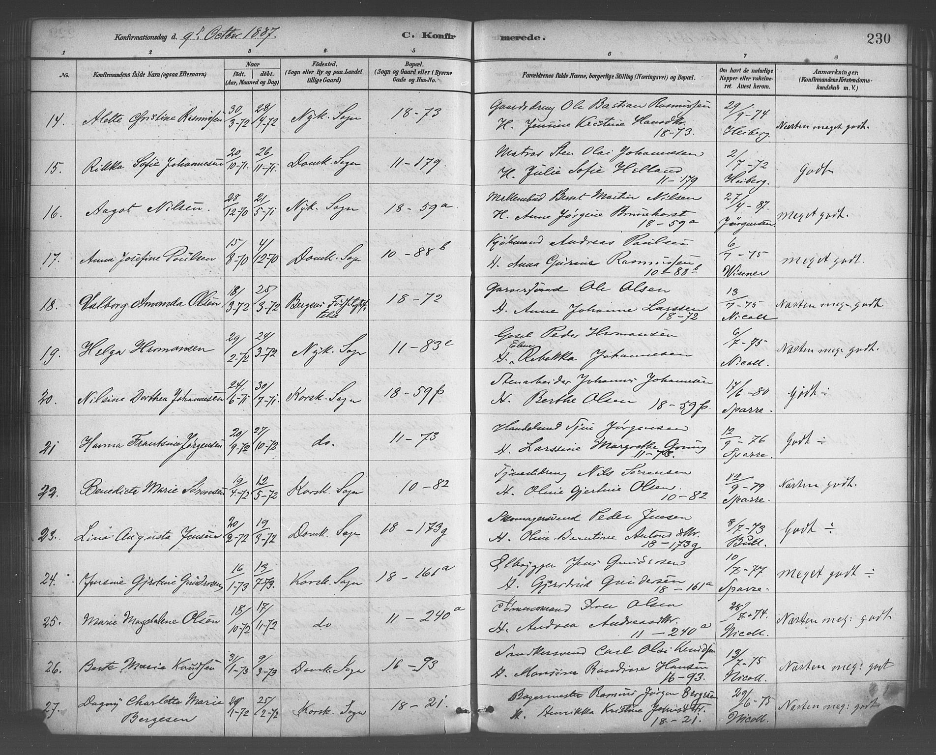 Domkirken sokneprestembete, AV/SAB-A-74801/H/Haa/L0030: Parish register (official) no. C 5, 1880-1898, p. 230