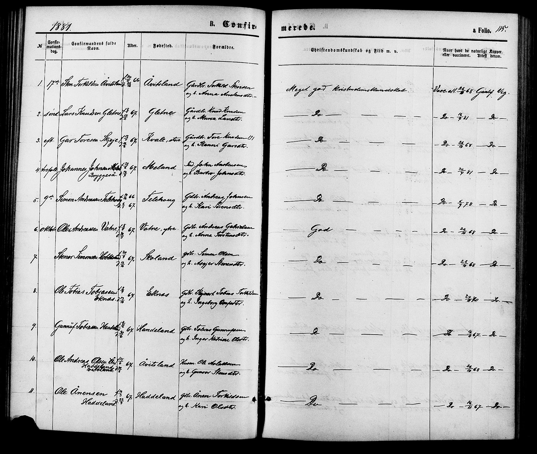 Hægebostad sokneprestkontor, SAK/1111-0024/F/Fa/Fab/L0003: Parish register (official) no. A 3, 1872-1886, p. 115