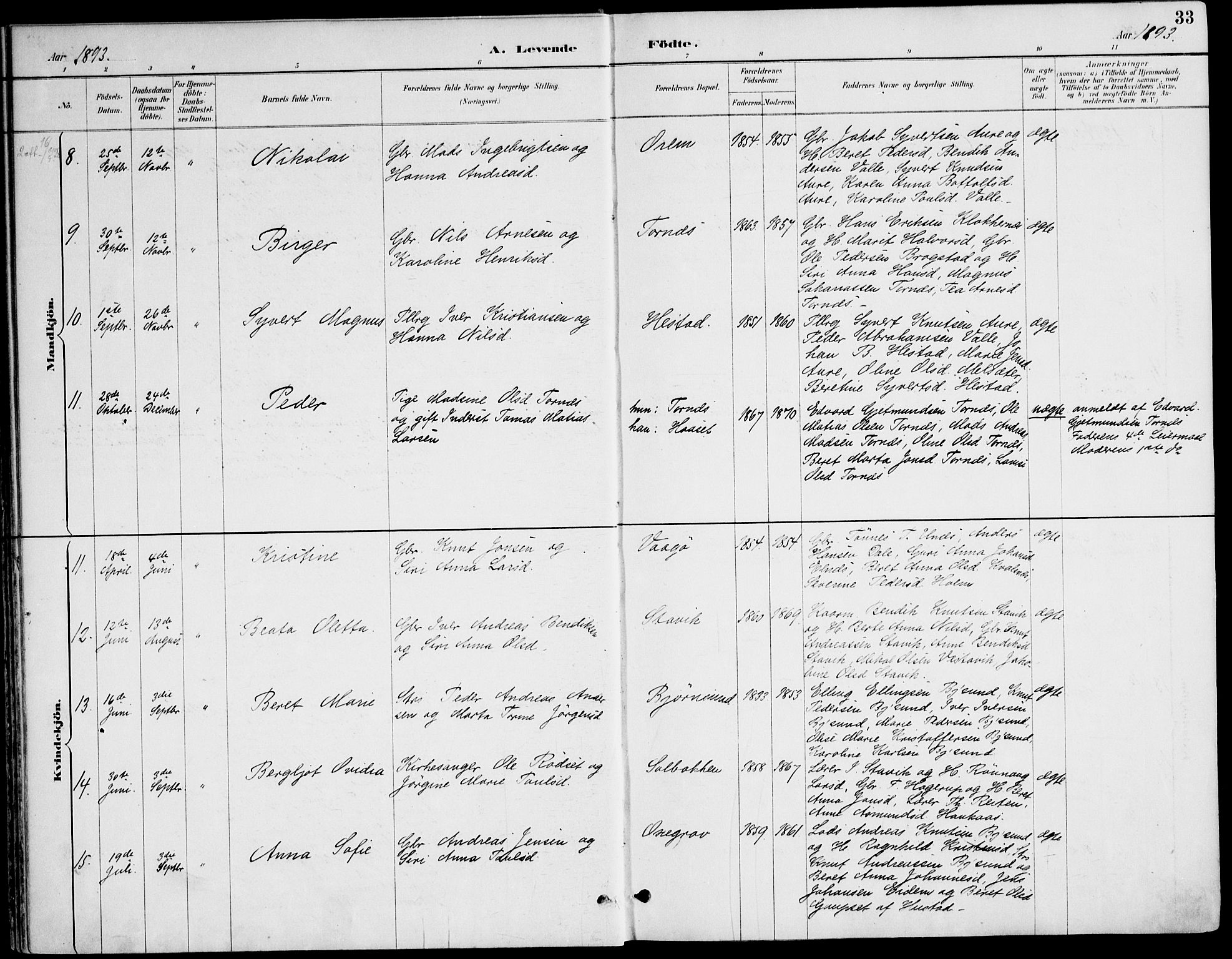 Ministerialprotokoller, klokkerbøker og fødselsregistre - Møre og Romsdal, AV/SAT-A-1454/565/L0750: Parish register (official) no. 565A04, 1887-1905, p. 33