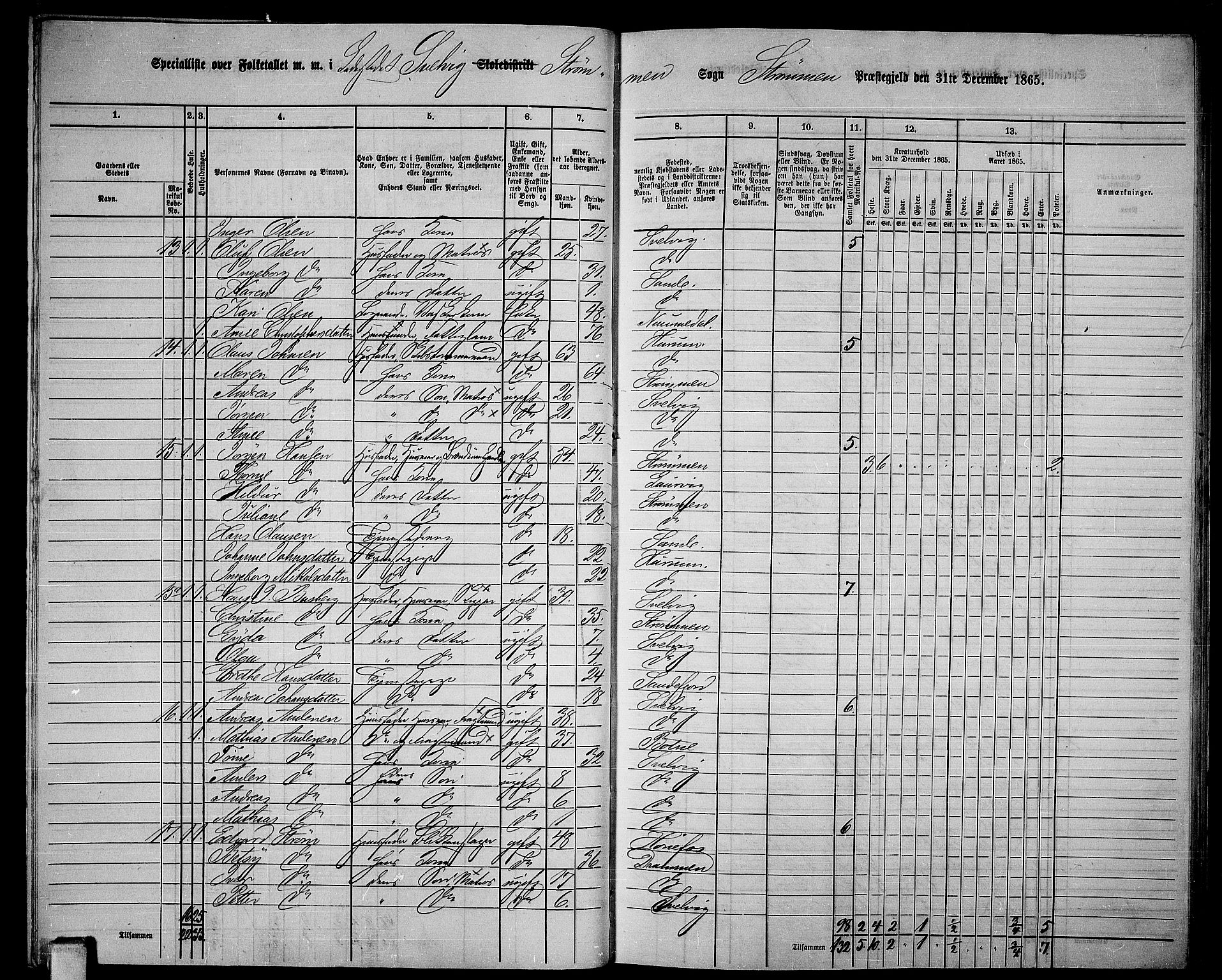 RA, 1865 census for Strømm, 1865, p. 65