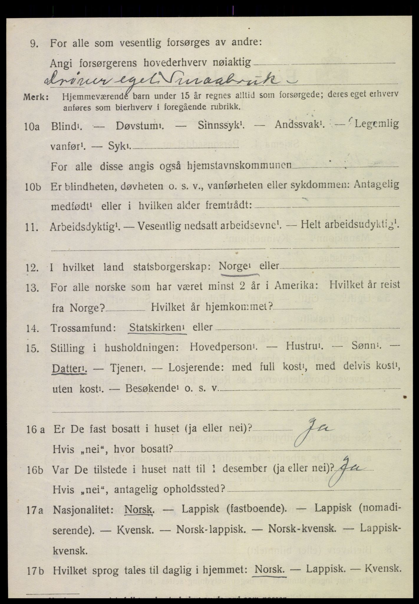 SAT, 1920 census for Vik, 1920, p. 3164