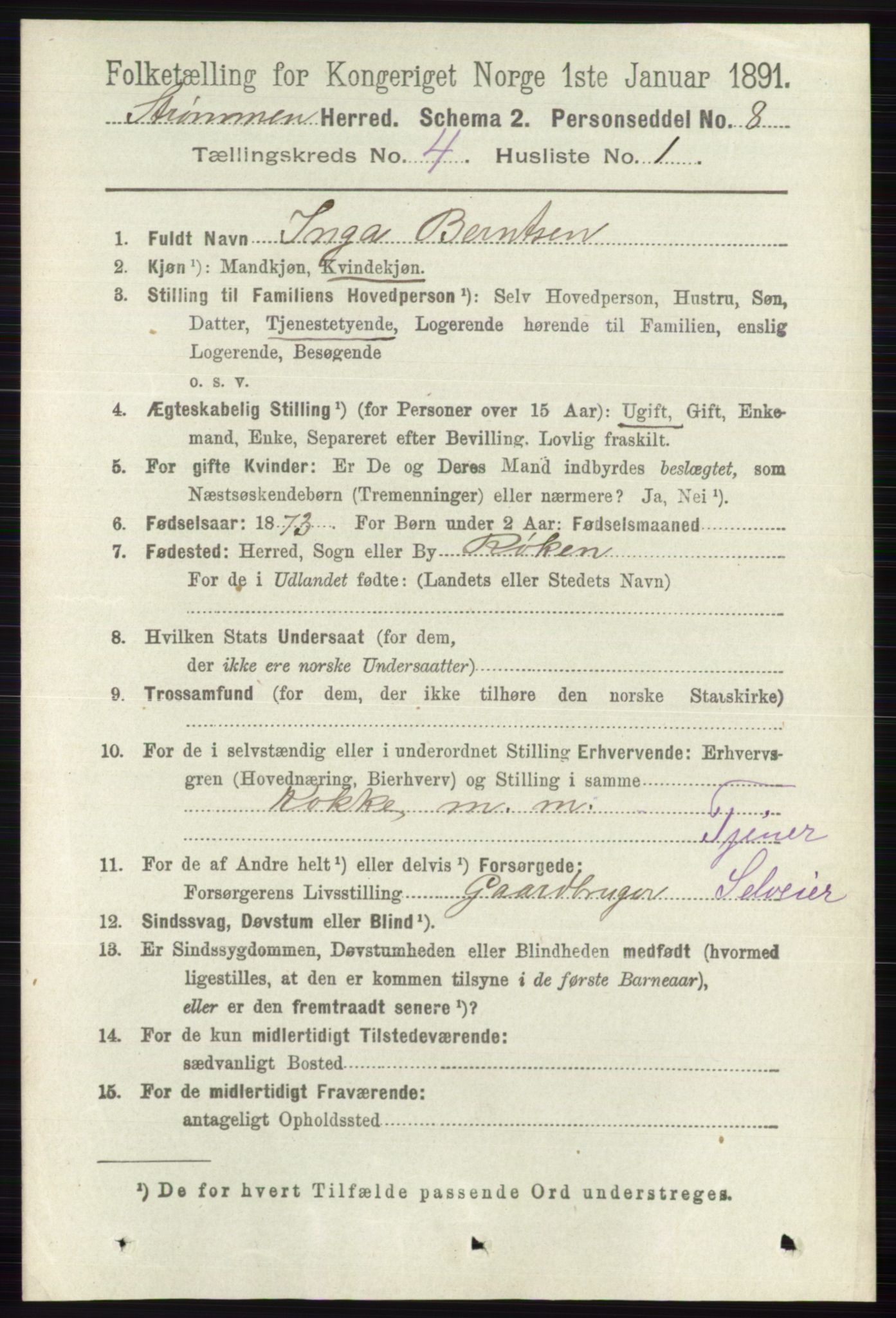 RA, 1891 census for 0711 Strømm, 1891, p. 1588