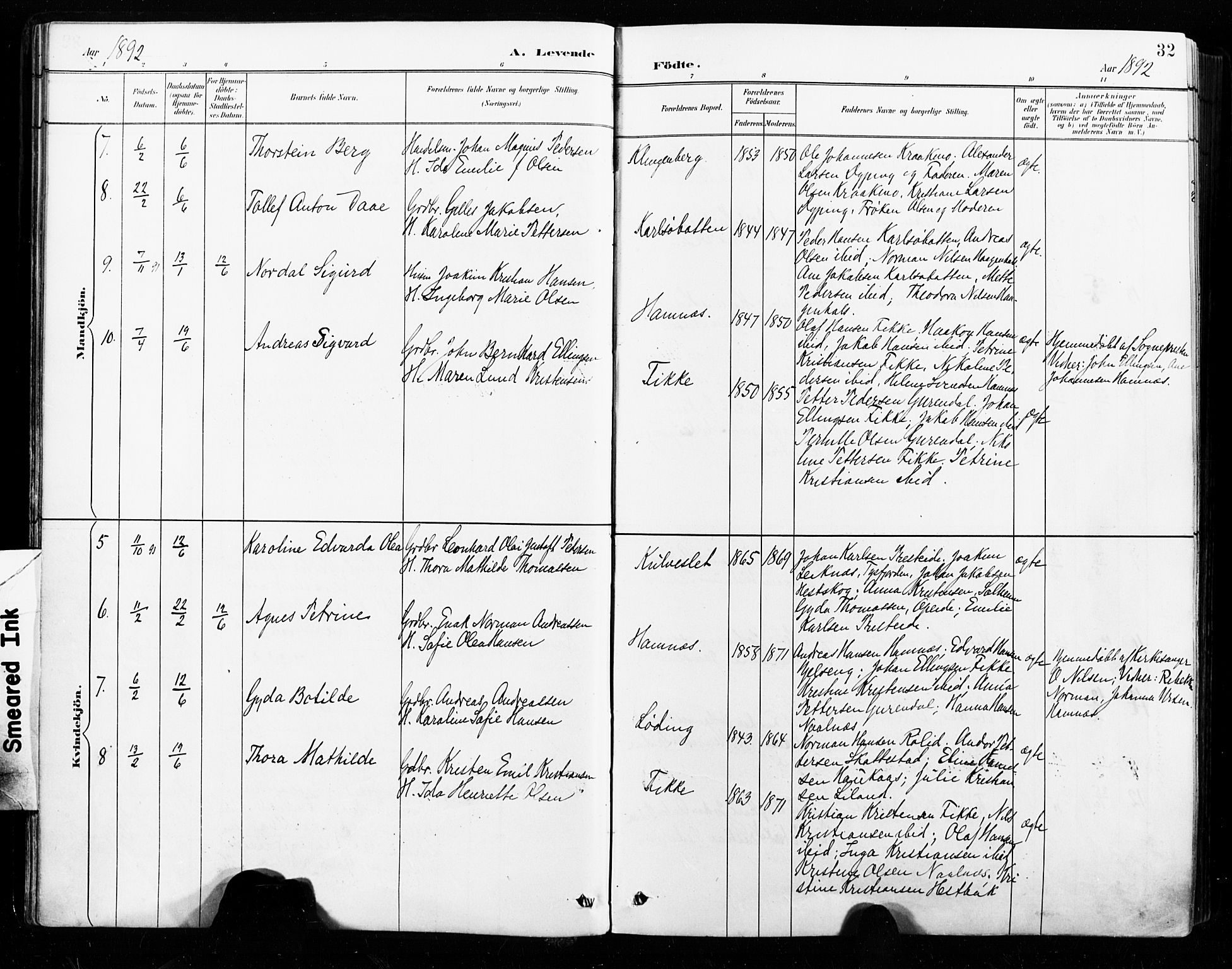 Ministerialprotokoller, klokkerbøker og fødselsregistre - Nordland, SAT/A-1459/859/L0847: Parish register (official) no. 859A07, 1890-1899, p. 32