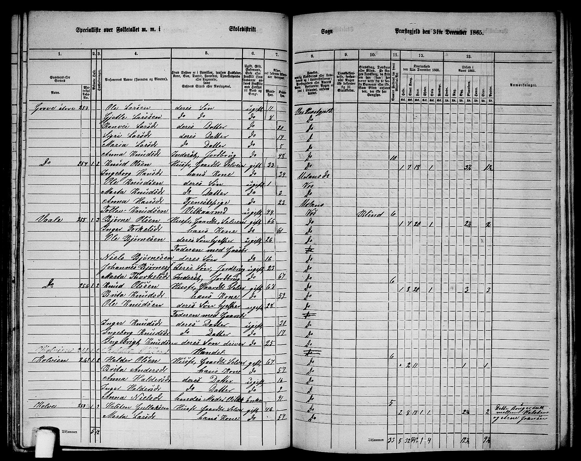 RA, 1865 census for Voss, 1865, p. 129