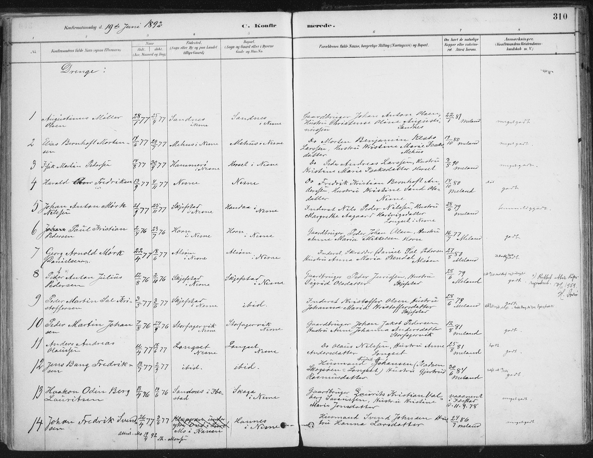 Ministerialprotokoller, klokkerbøker og fødselsregistre - Nordland, AV/SAT-A-1459/838/L0552: Parish register (official) no. 838A10, 1880-1910, p. 310