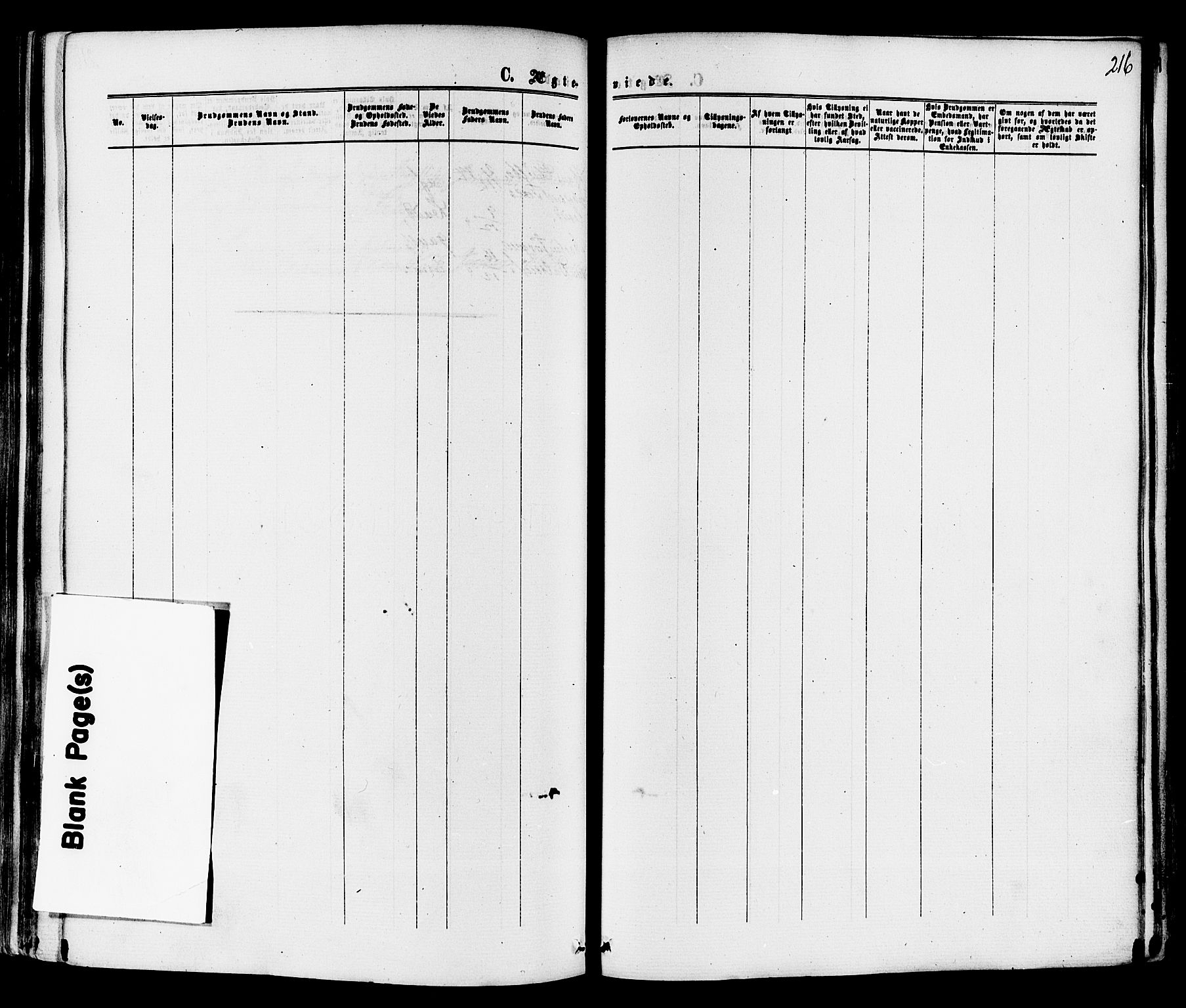 Sande Kirkebøker, AV/SAKO-A-53/F/Fa/L0005: Parish register (official) no. 5, 1865-1877, p. 216