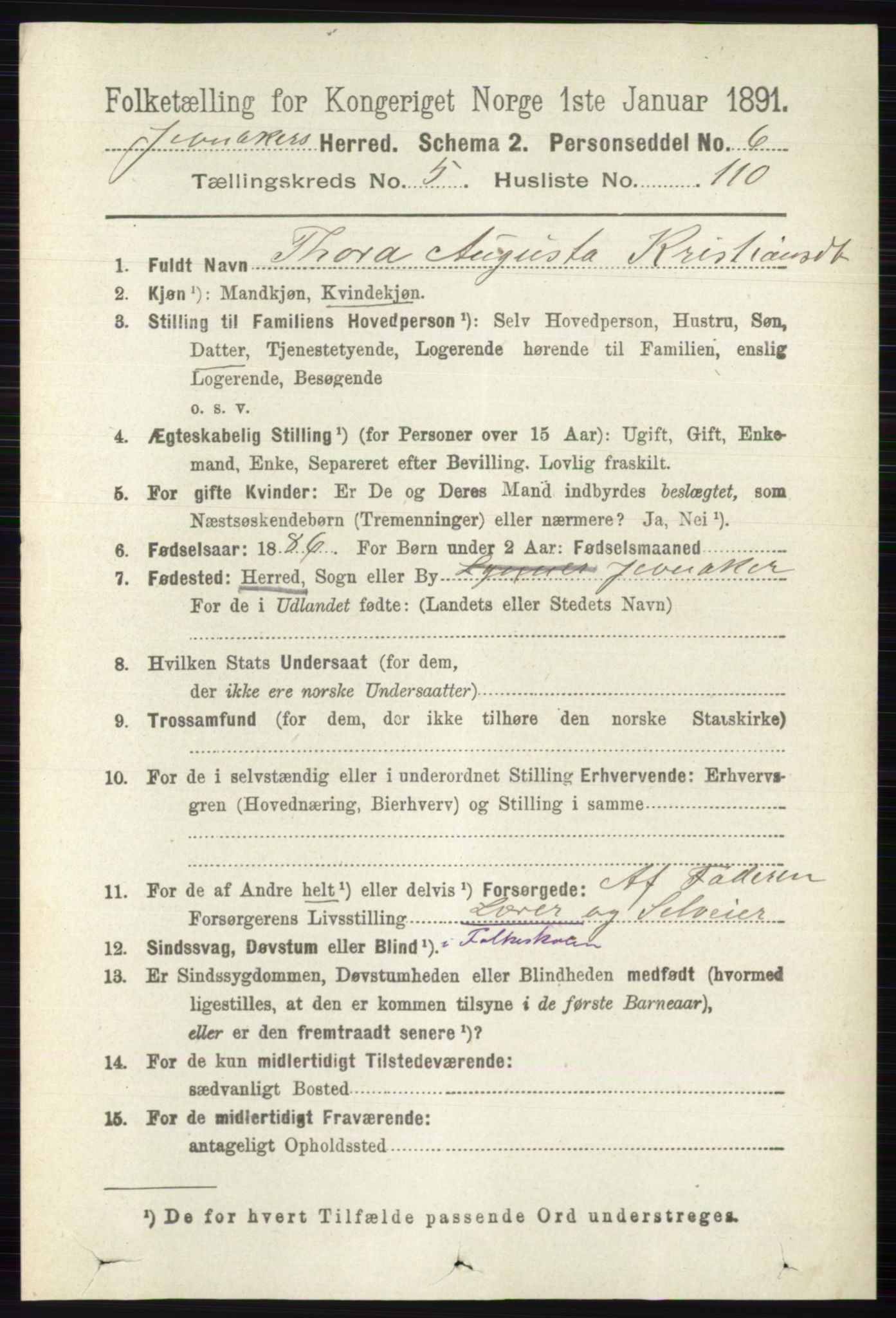 RA, 1891 census for 0532 Jevnaker, 1891, p. 3009