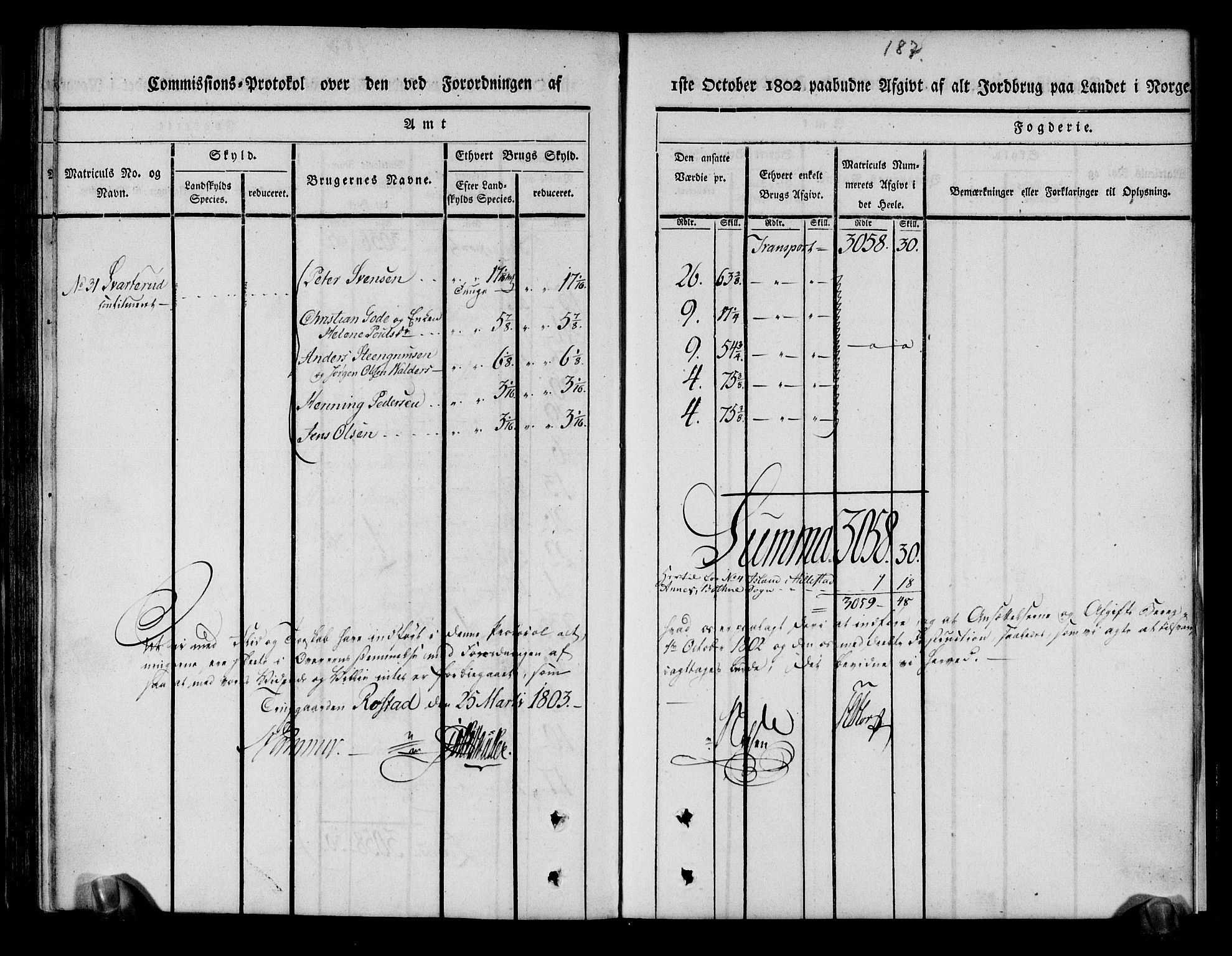 Rentekammeret inntil 1814, Realistisk ordnet avdeling, AV/RA-EA-4070/N/Ne/Nea/L0174: Jarlsberg grevskap. Kommisjonsprotokoll for grevskapets nordre distrikt - Lardal, Hof, Sande, Skoger, Botne og Våle prestegjeld, 1803, p. 199