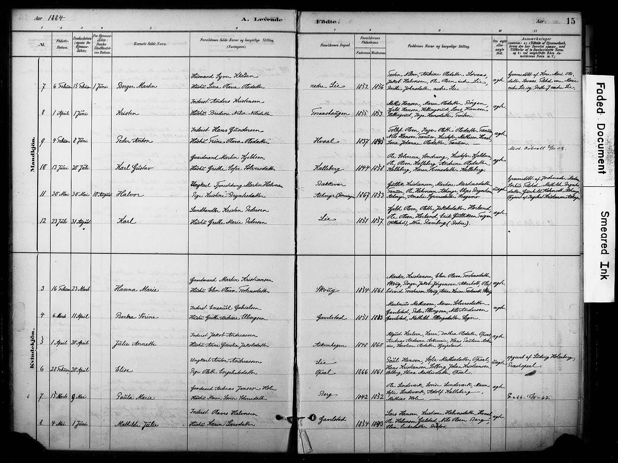 Lardal kirkebøker, AV/SAKO-A-350/F/Fb/L0001: Parish register (official) no. II 1, 1881-1911, p. 15