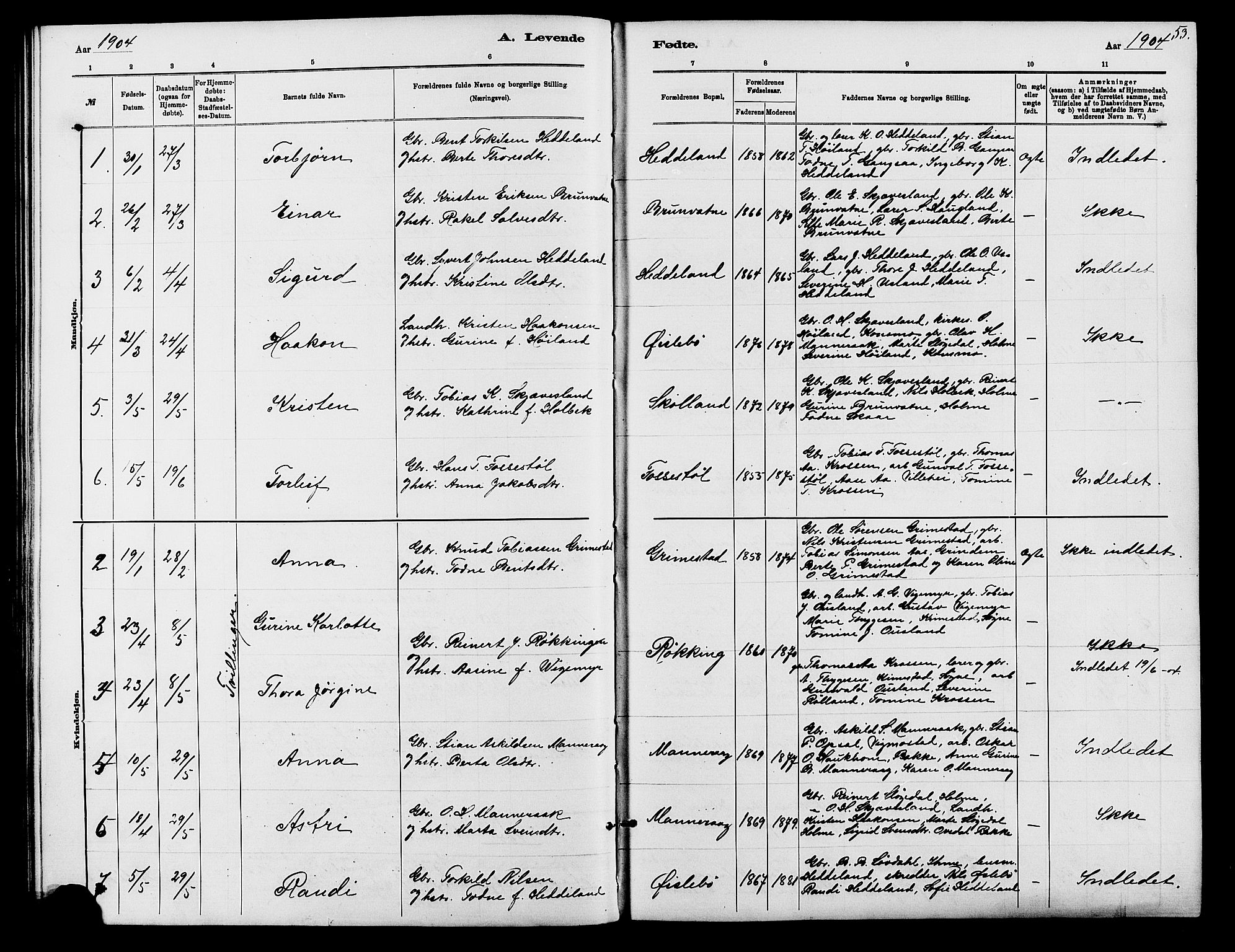 Holum sokneprestkontor, SAK/1111-0022/F/Fb/Fbc/L0003: Parish register (copy) no. B 3, 1882-1908, p. 53