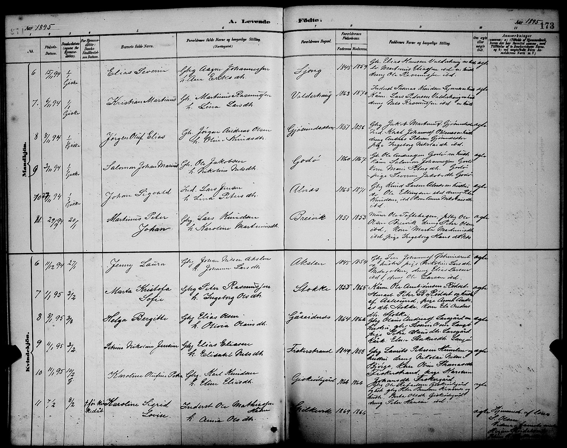 Ministerialprotokoller, klokkerbøker og fødselsregistre - Møre og Romsdal, SAT/A-1454/528/L0431: Parish register (copy) no. 528C12, 1885-1898, p. 173