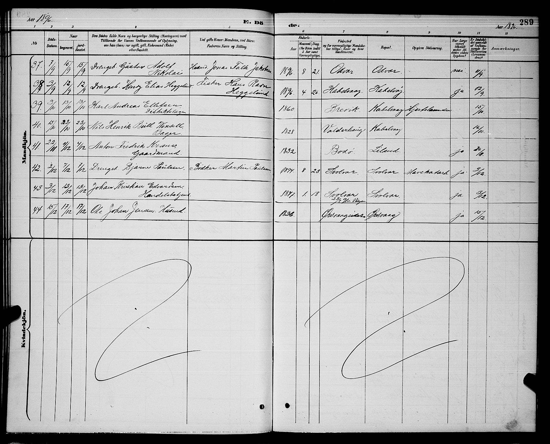 Ministerialprotokoller, klokkerbøker og fødselsregistre - Nordland, AV/SAT-A-1459/874/L1077: Parish register (copy) no. 874C06, 1891-1900, p. 289