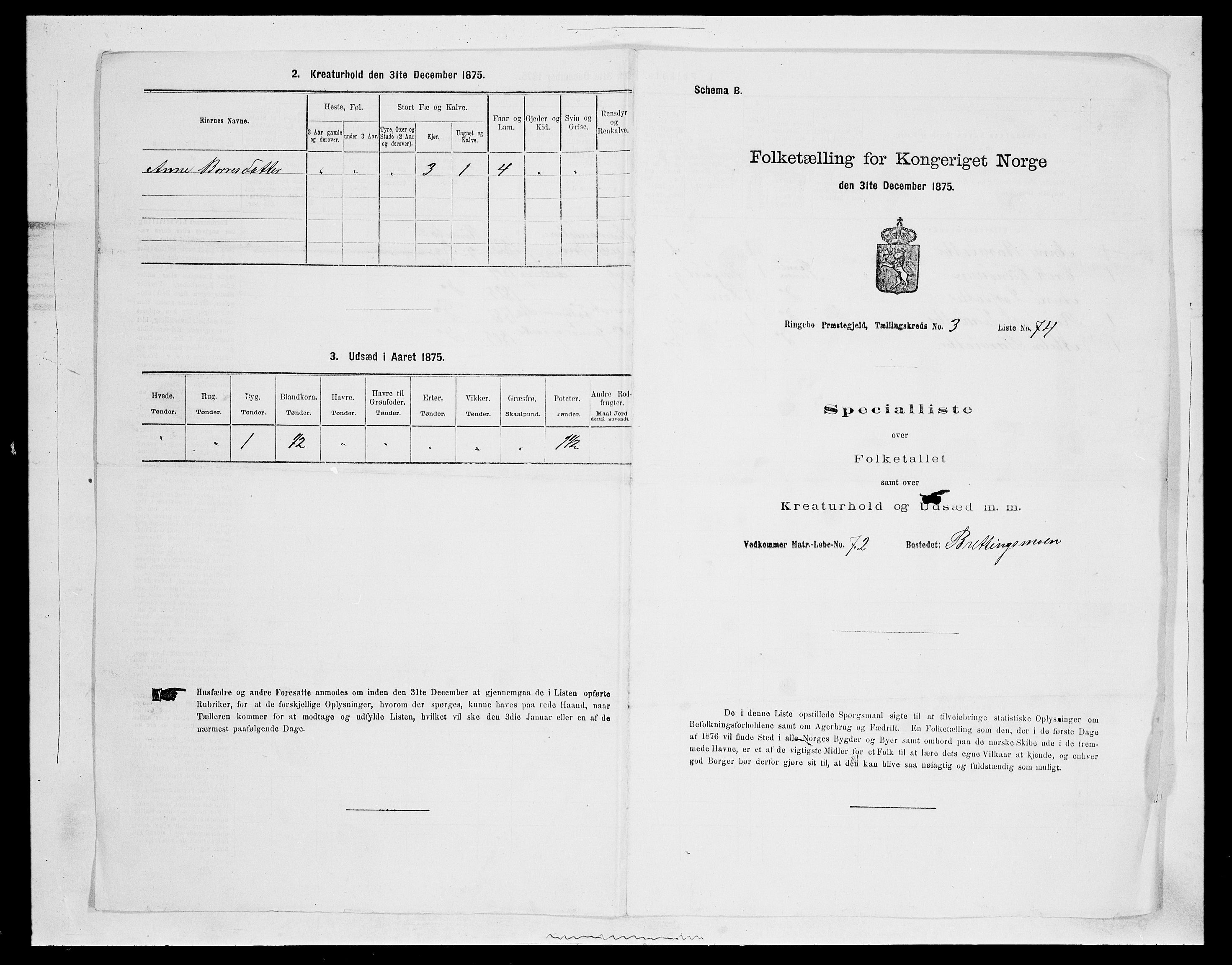 SAH, 1875 census for 0520P Ringebu, 1875, p. 538