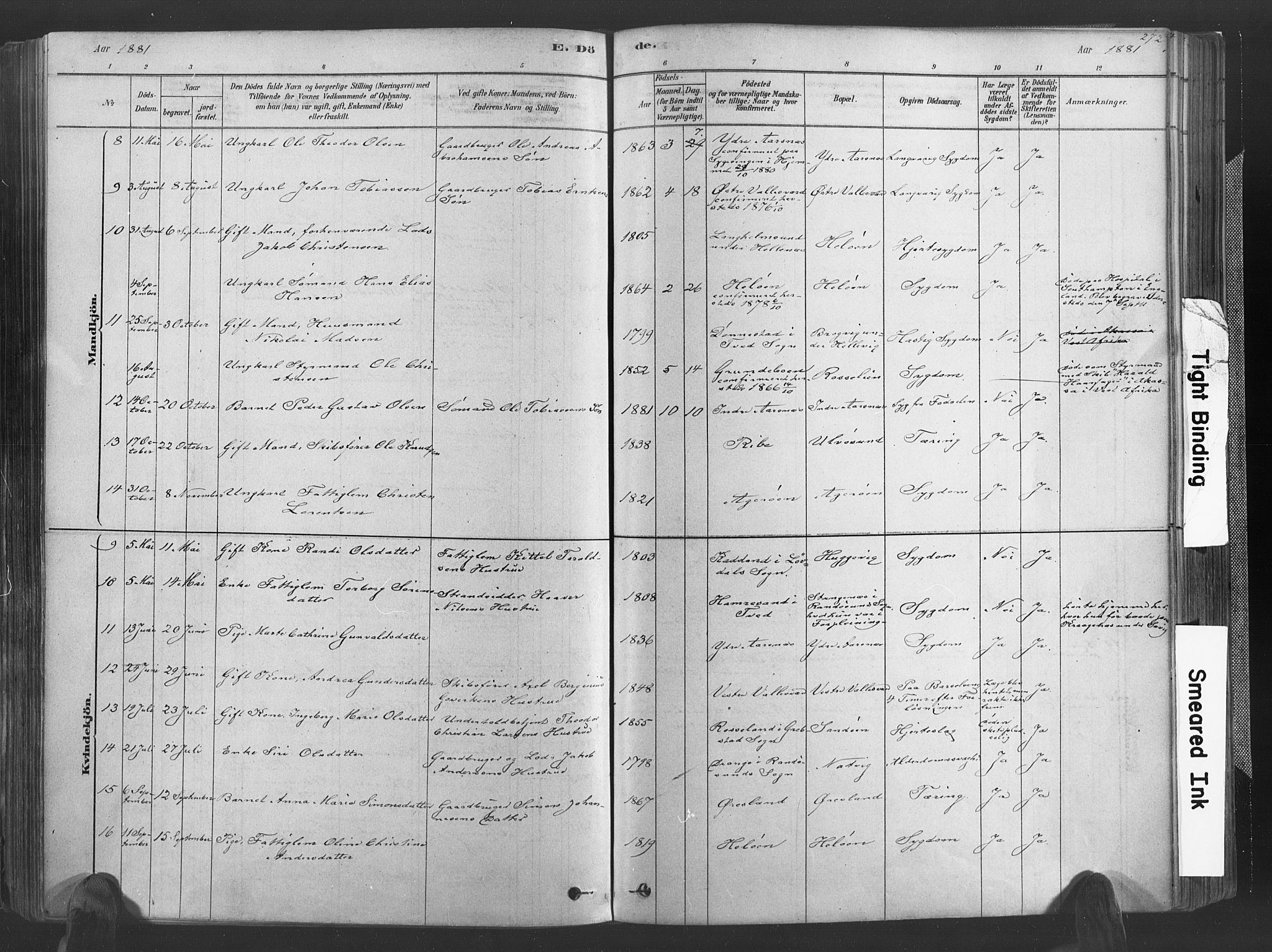 Høvåg sokneprestkontor, SAK/1111-0025/F/Fa/L0005: Parish register (official) no. A 5, 1878-1893, p. 272