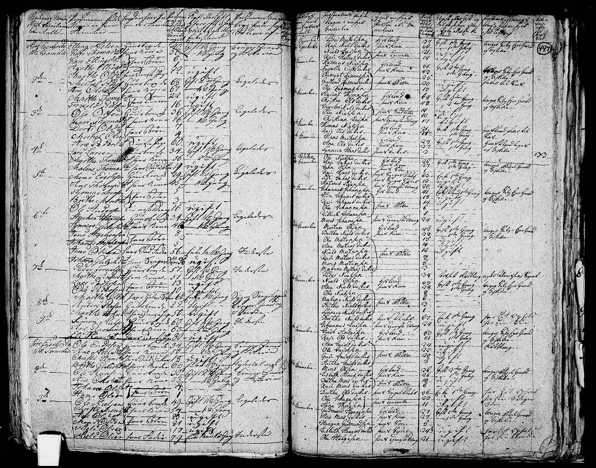 RA, 1801 census for 1245P Sund, 1801, p. 446b-447a