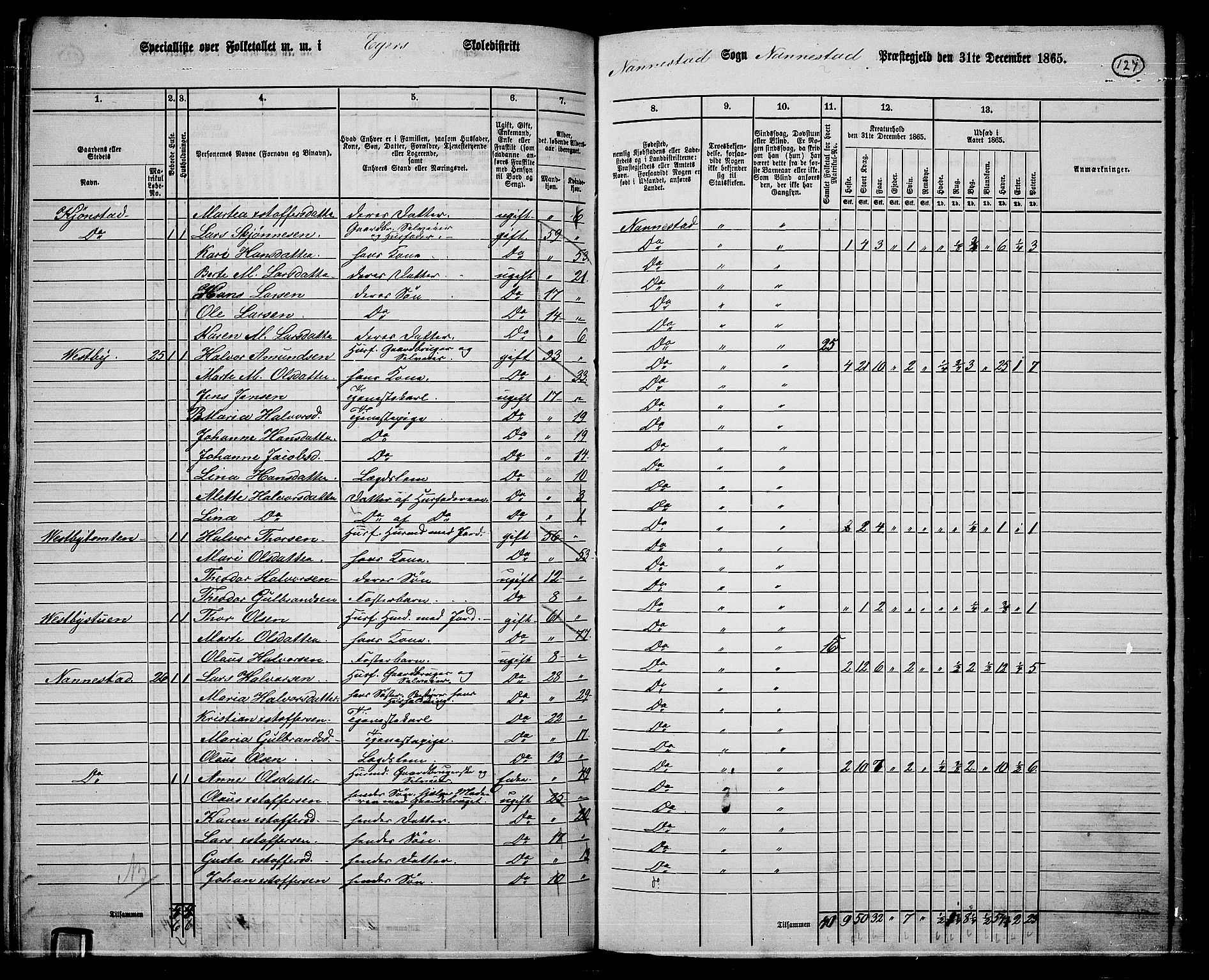 RA, 1865 census for Nannestad, 1865, p. 13