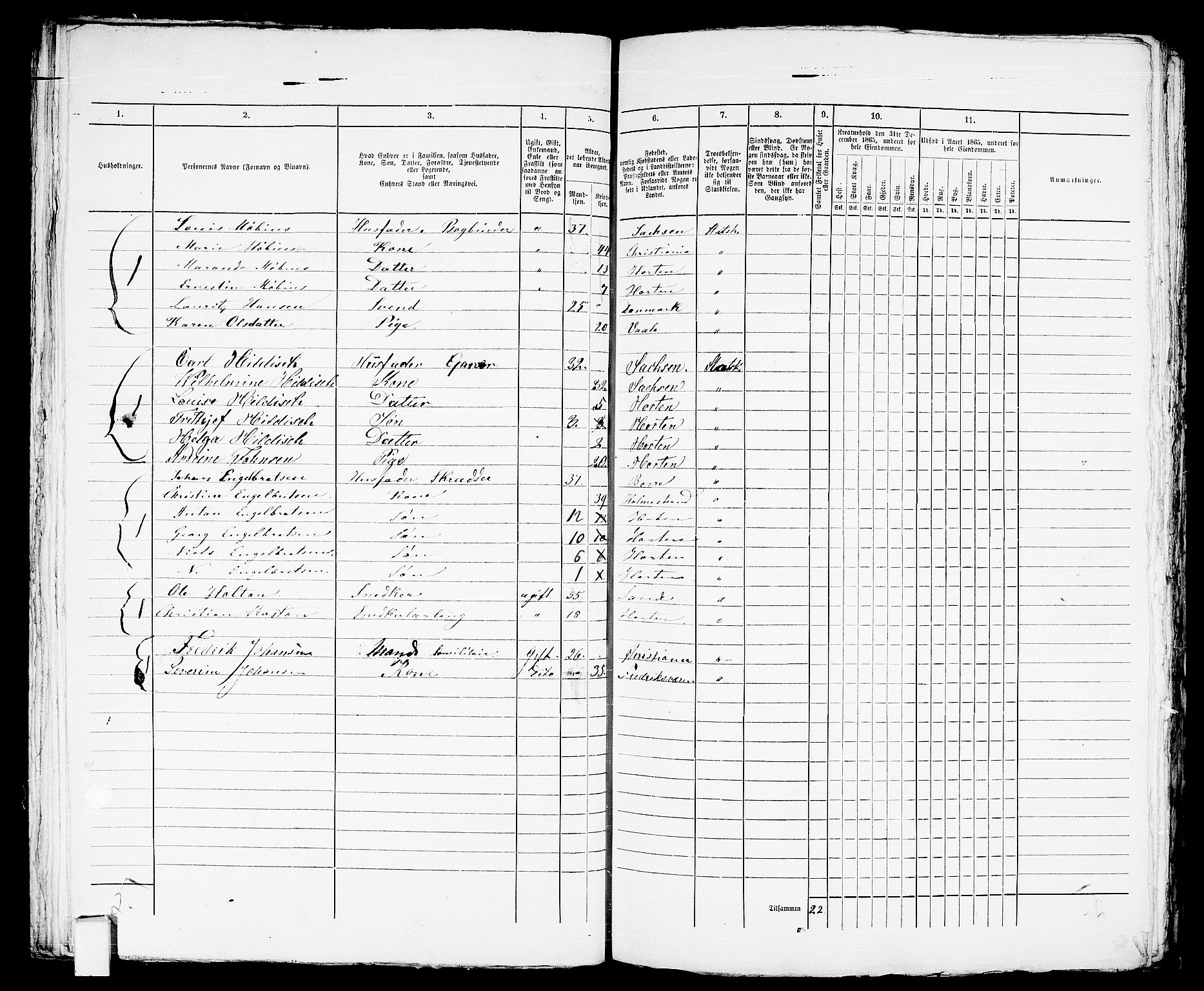 RA, 1865 census for Horten, 1865, p. 520