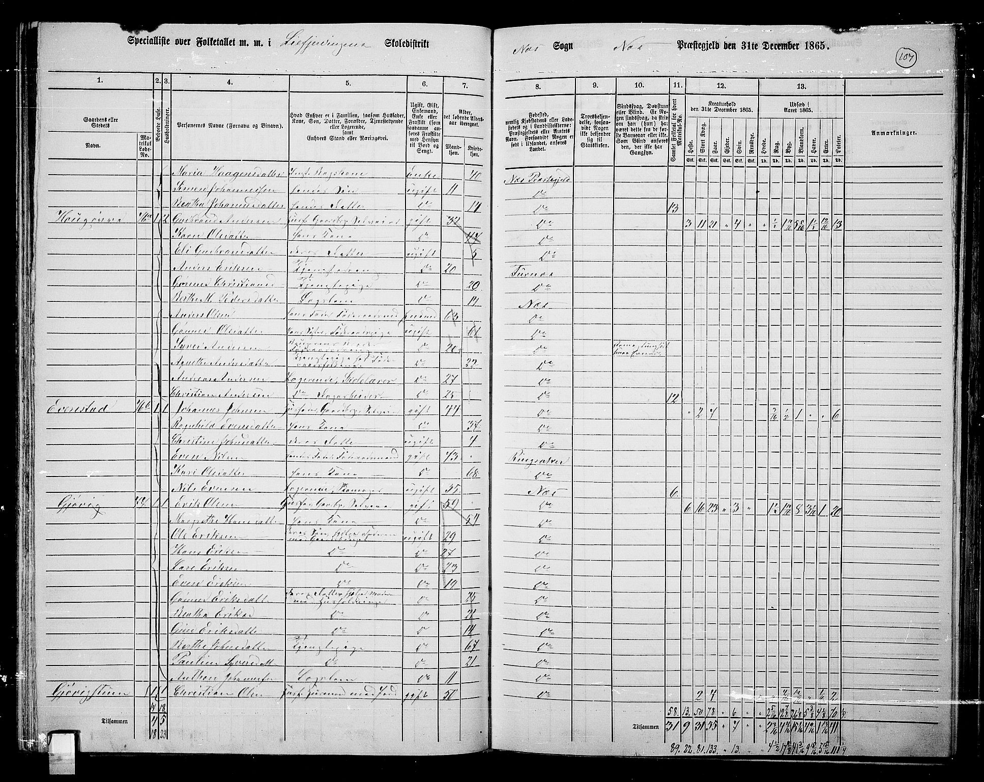 RA, 1865 census for Nes, 1865, p. 92