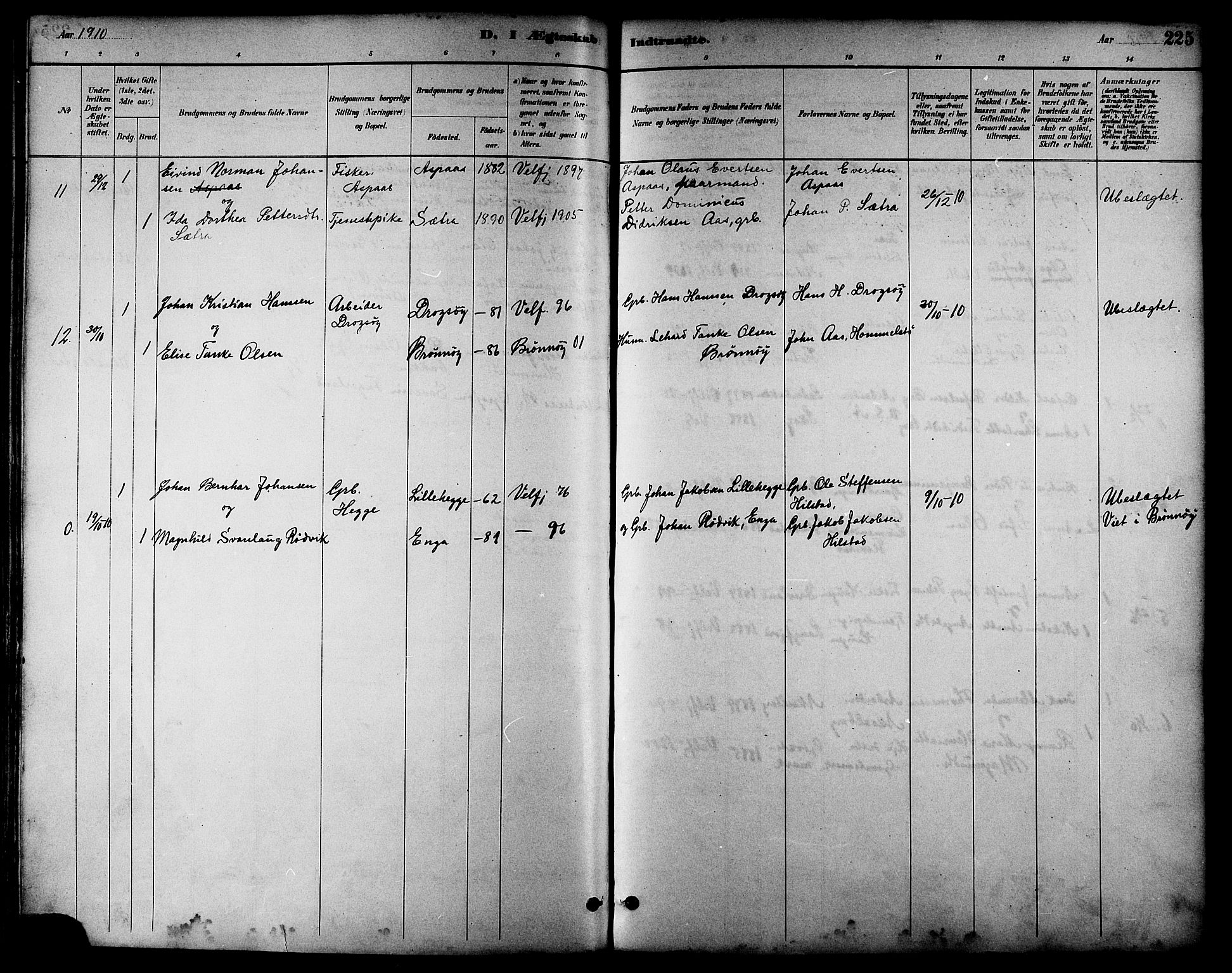 Ministerialprotokoller, klokkerbøker og fødselsregistre - Nordland, AV/SAT-A-1459/814/L0230: Parish register (copy) no. 814C03, 1884-1911, p. 225