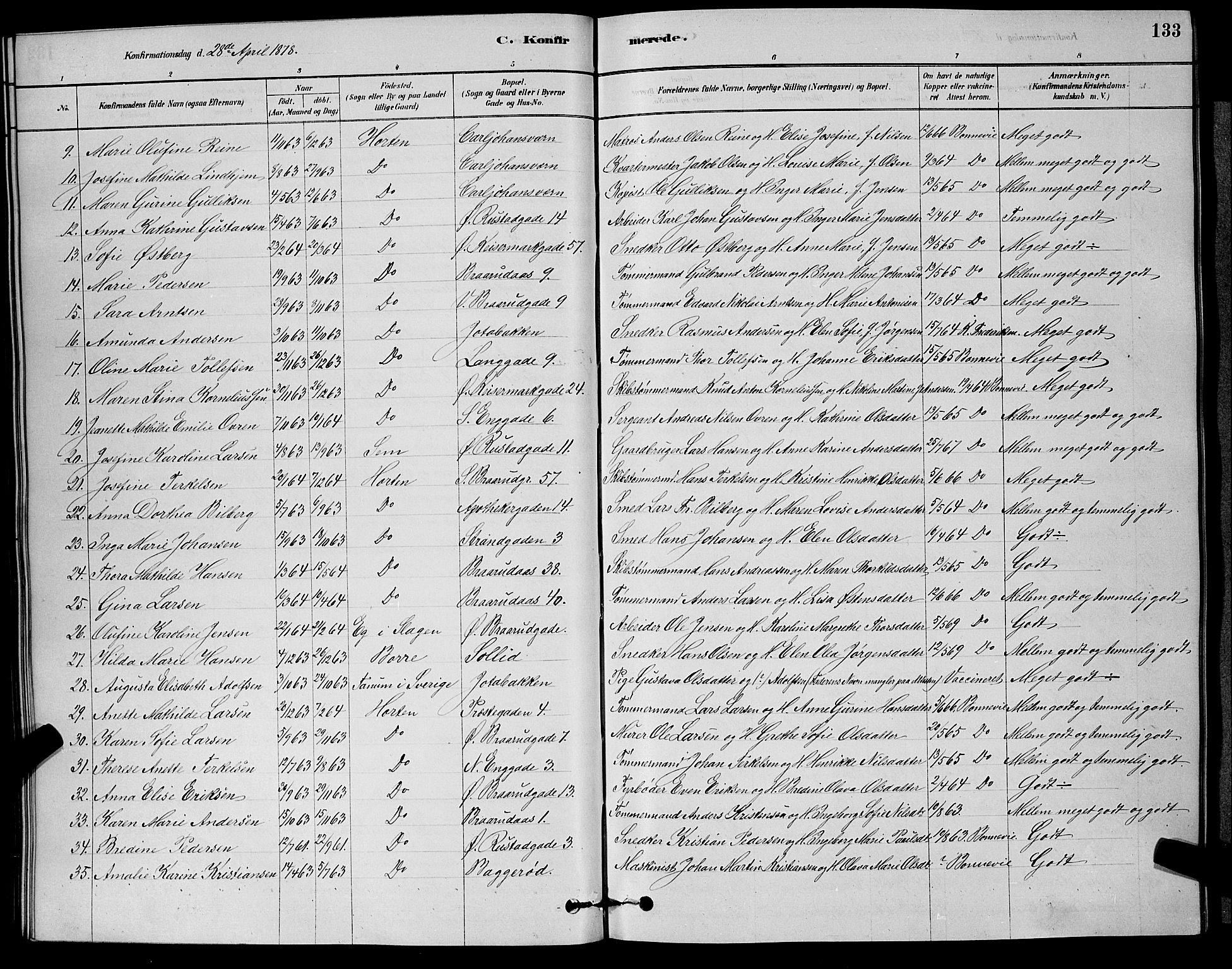 Horten kirkebøker, AV/SAKO-A-348/G/Ga/L0003: Parish register (copy) no. 4, 1878-1887, p. 133