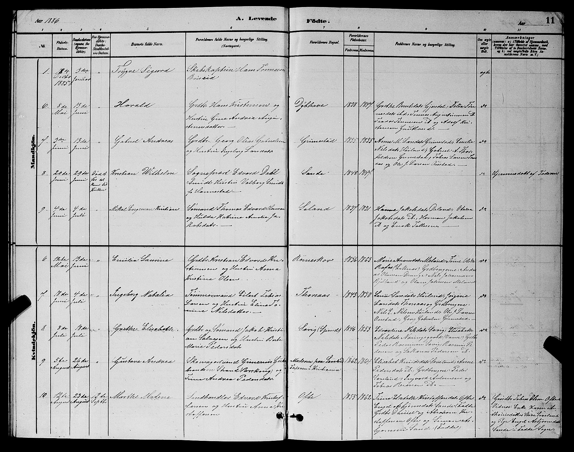 Herad sokneprestkontor, AV/SAK-1111-0018/F/Fb/Fba/L0004: Parish register (copy) no. B 4, 1882-1899, p. 11