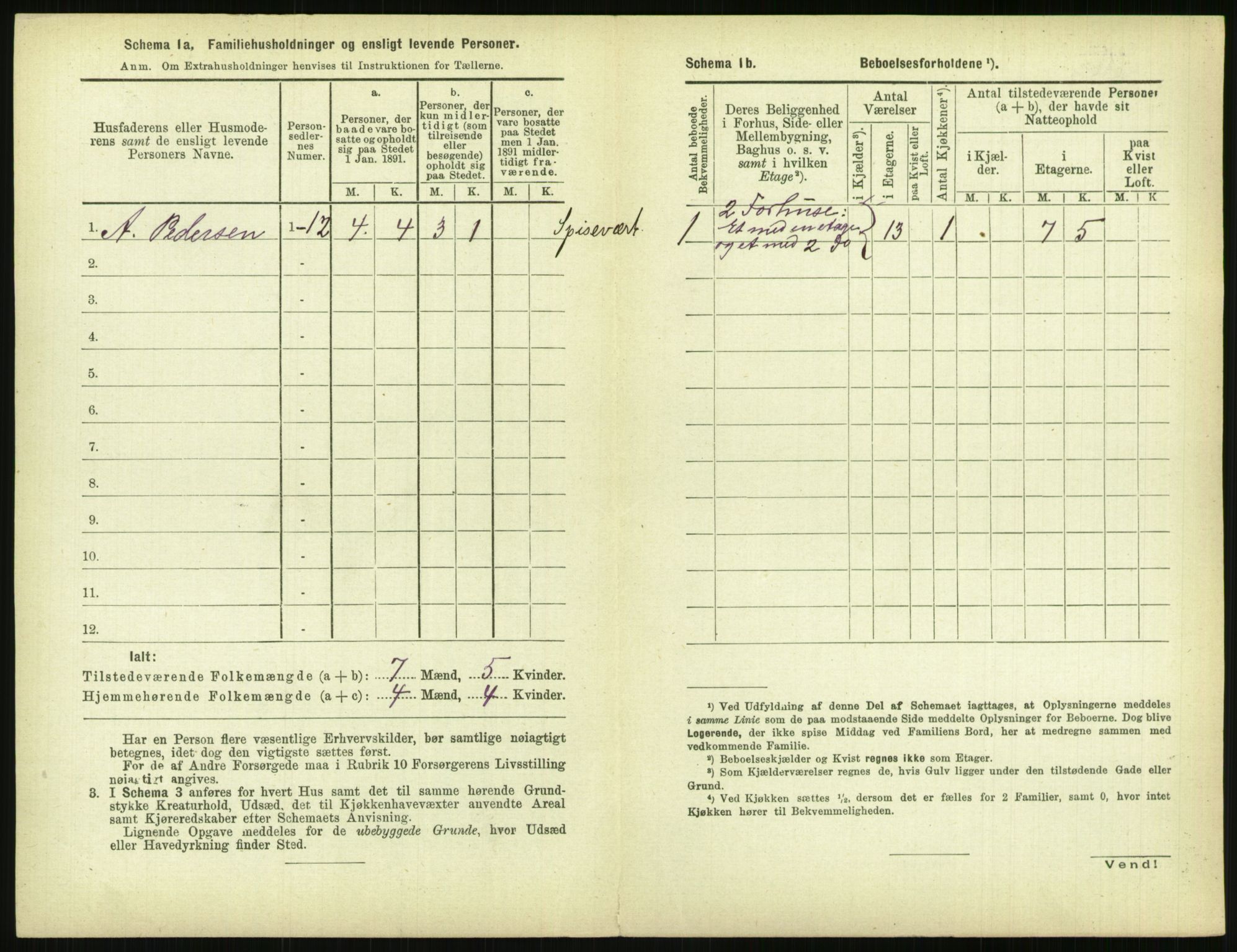 RA, 1891 census for 0806 Skien, 1891, p. 1077