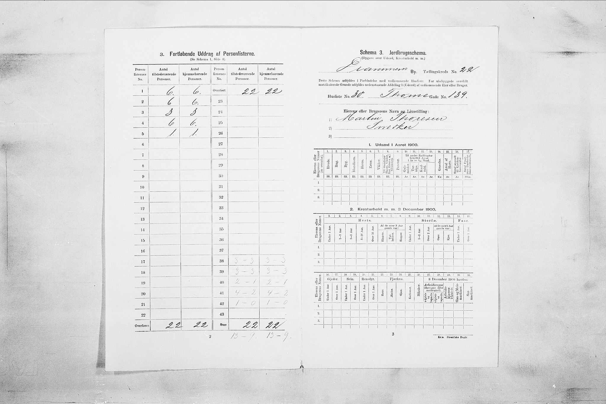 RA, 1900 census for Drammen, 1900, p. 3819