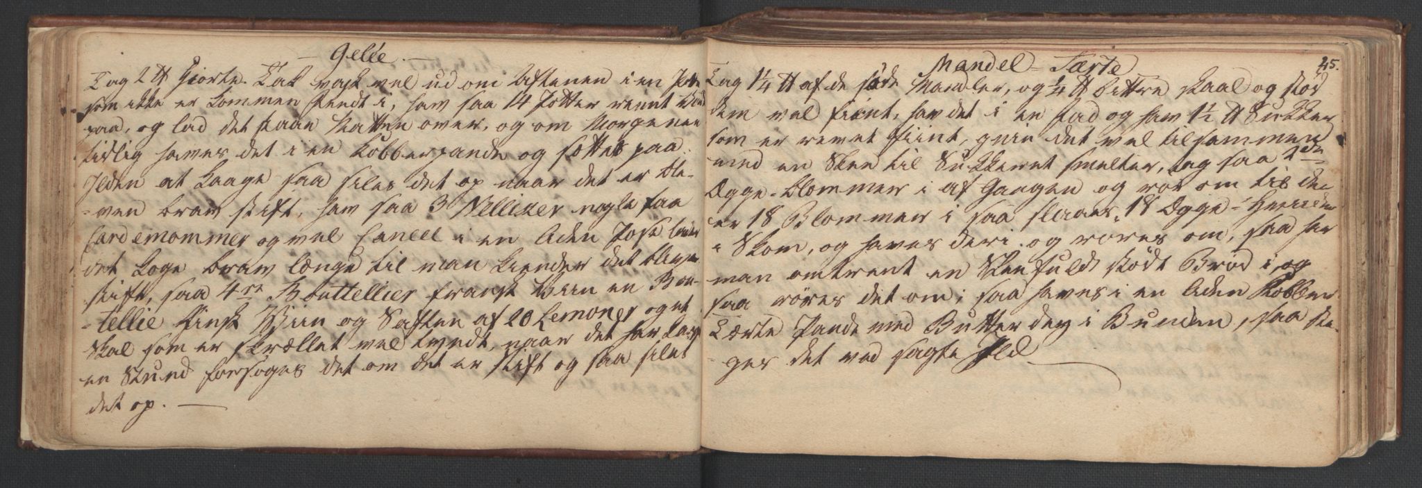 Manuskriptsamlingen, AV/RA-EA-3667/H/L0047: Familiestamrulle vedkommende Eliesonske, Ankerske, Colletske, Kiønigske m.m. familier - fra slutningen av 1600 til 1874 osv, 1600-1874, p. 44-45