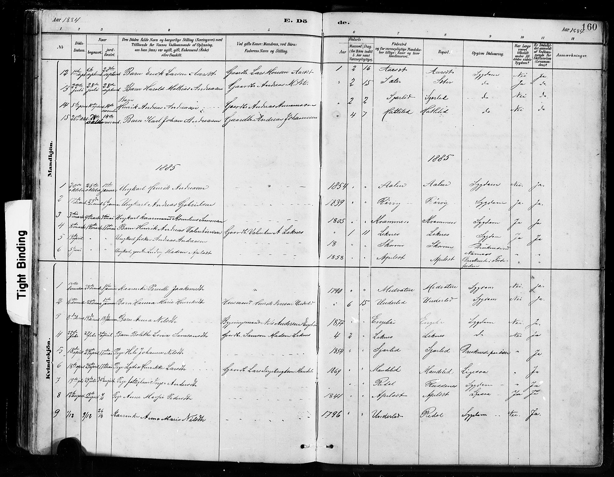 Førde sokneprestembete, SAB/A-79901/H/Hab/Habe/L0001: Parish register (copy) no. E 1, 1881-1920, p. 160