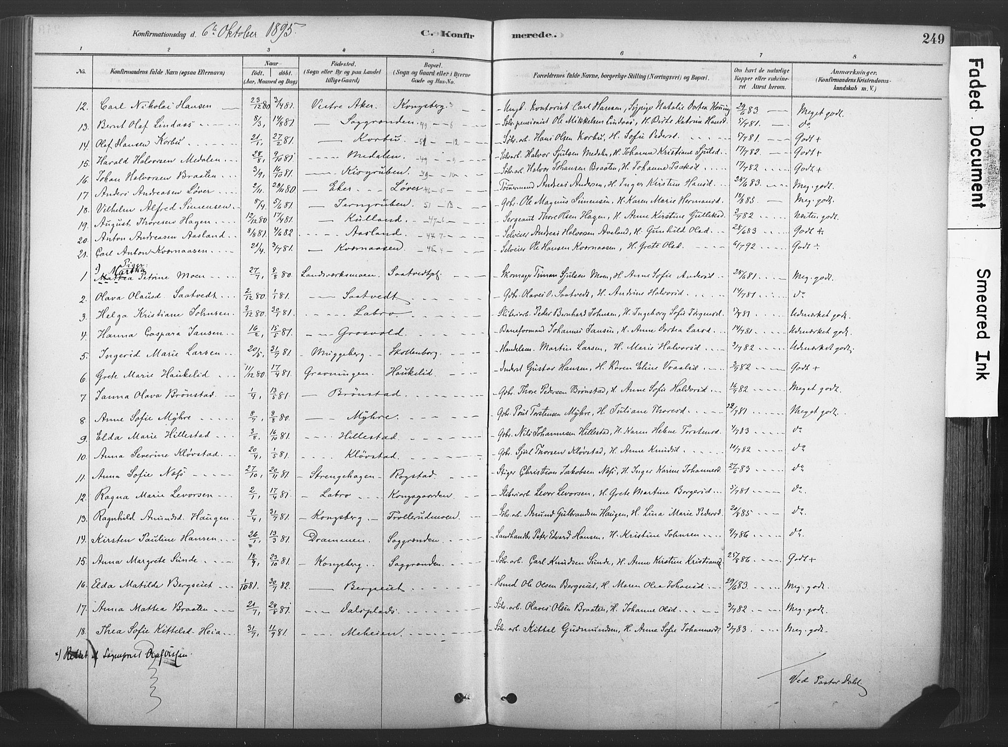 Sandsvær kirkebøker, SAKO/A-244/F/Fd/L0001: Parish register (official) no. IV 1, 1878-1906, p. 249
