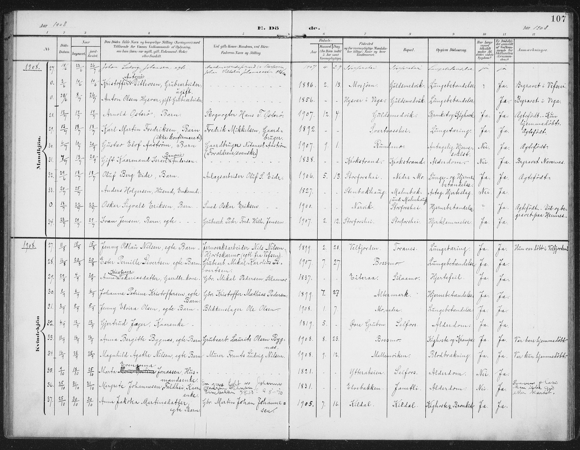 Ministerialprotokoller, klokkerbøker og fødselsregistre - Nordland, AV/SAT-A-1459/827/L0403: Parish register (official) no. 827A15, 1903-1912, p. 107